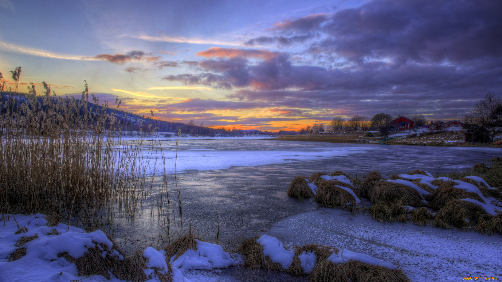 природа, зима, снег, сумрак, тучи, камыш, лёд, озеро