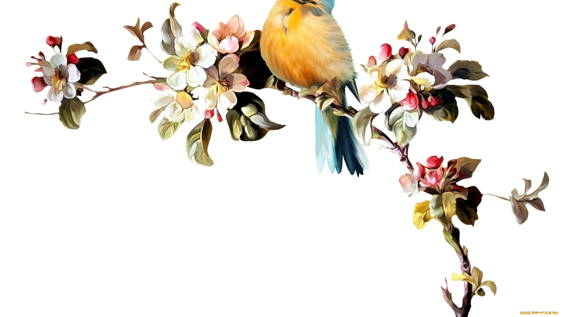 рисованные, животные, птица, ветка