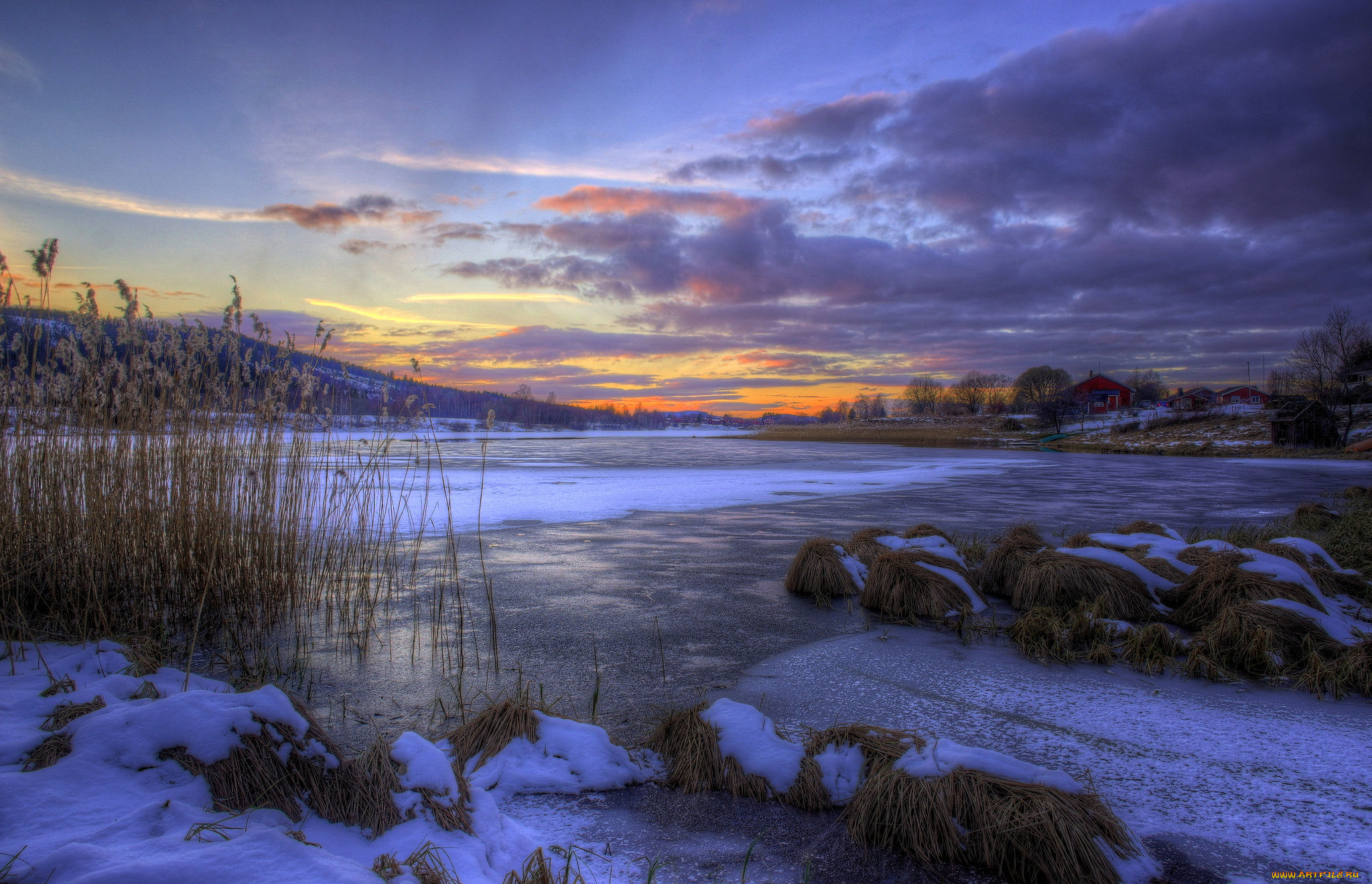 природа, зима, снег, сумрак, тучи, камыш, лёд, озеро