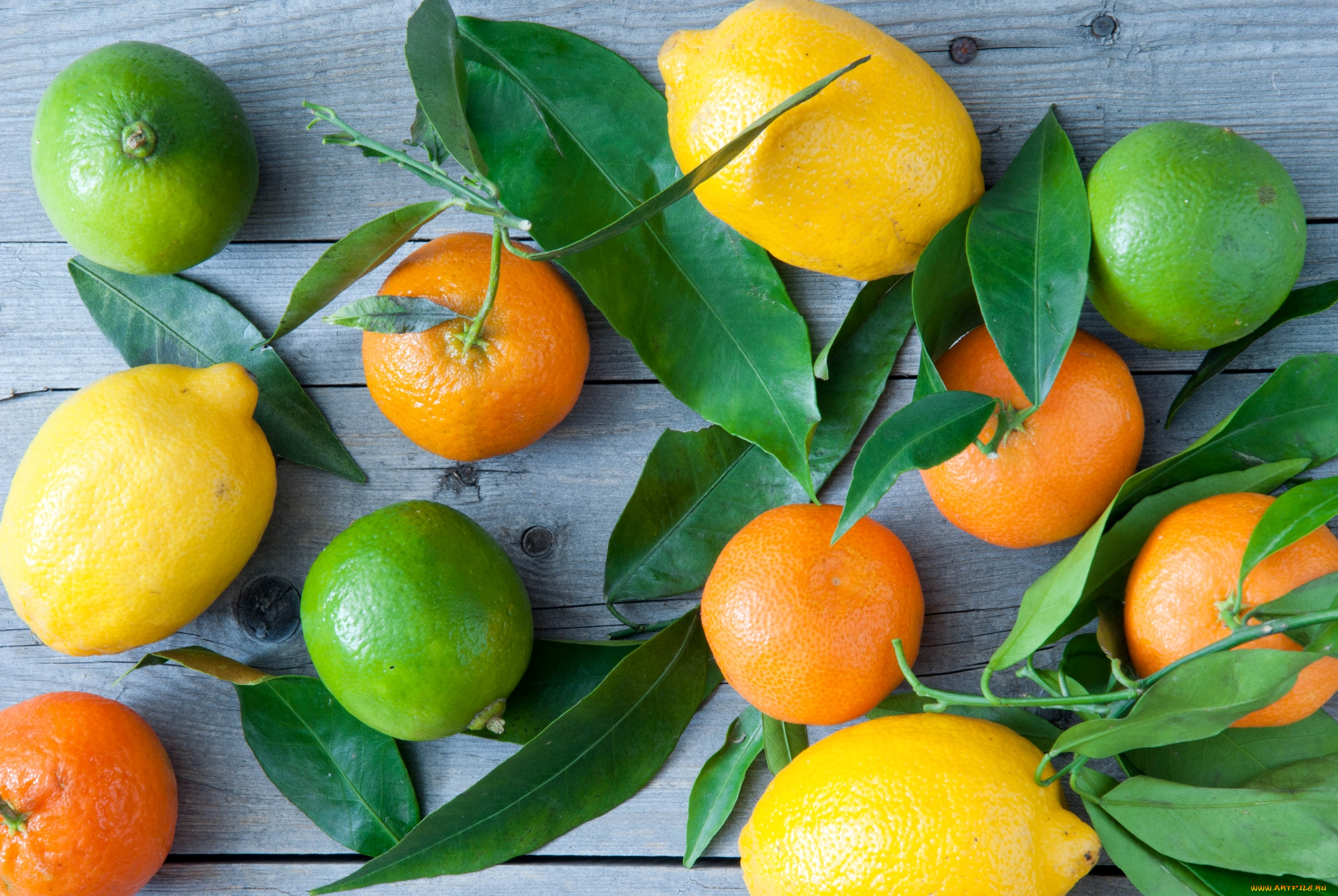 еда, цитрусы, мандарины, лимоны