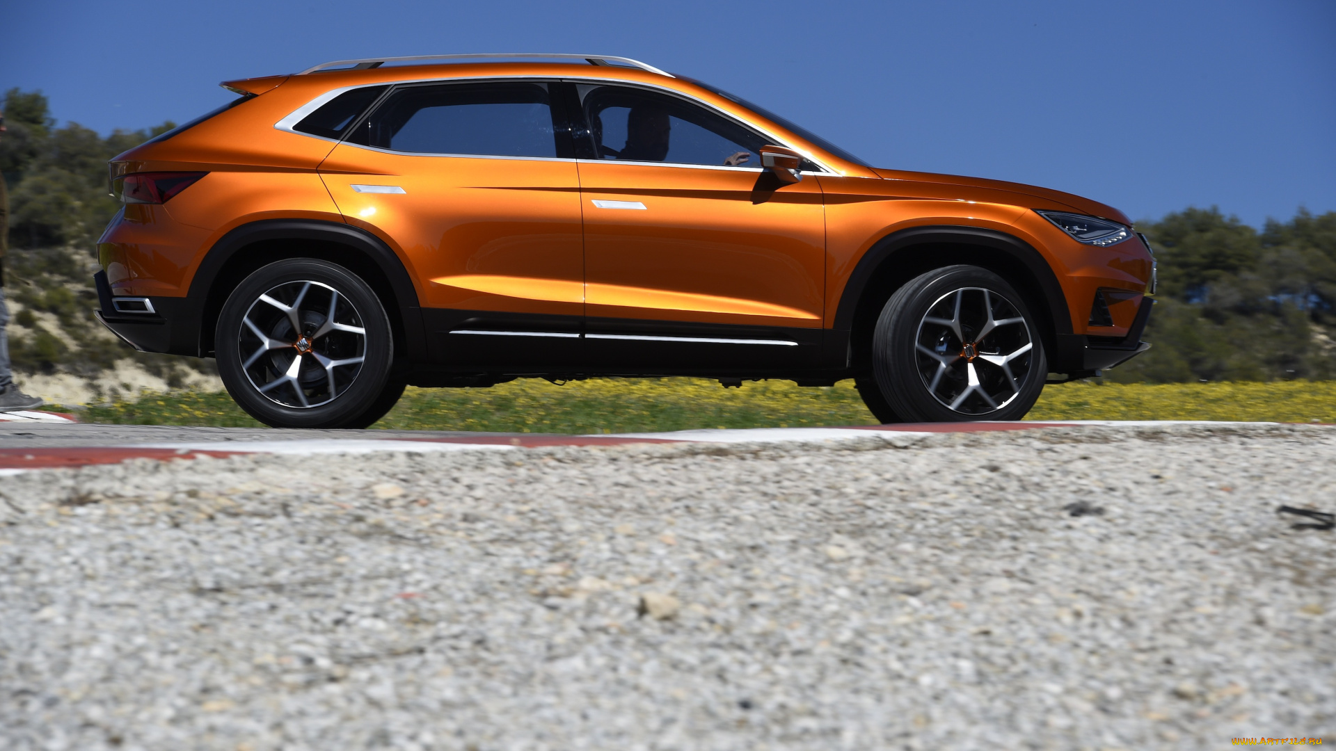 автомобили, seat, 2015г, concept, 20v20