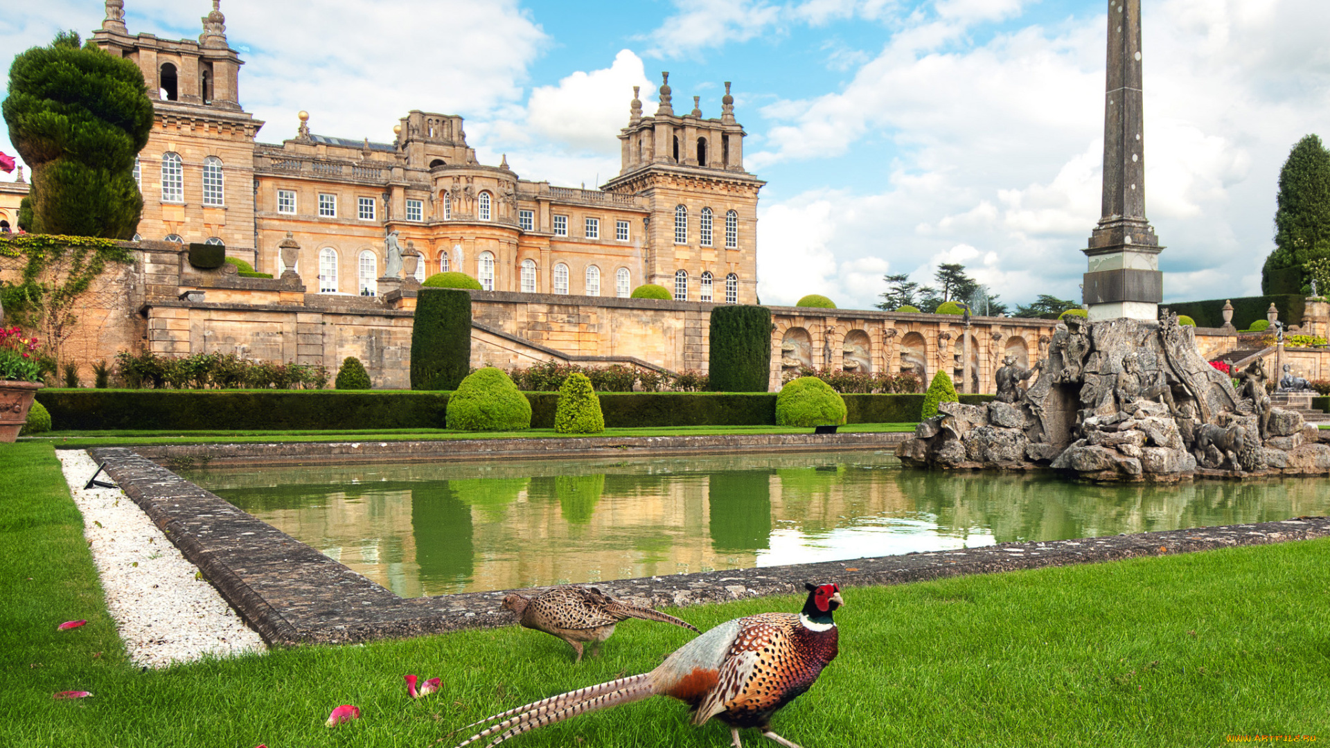 blenheim, palace, города, -, дворцы, , замки, , крепости, дворец, стелла, пруд, парк, фазан