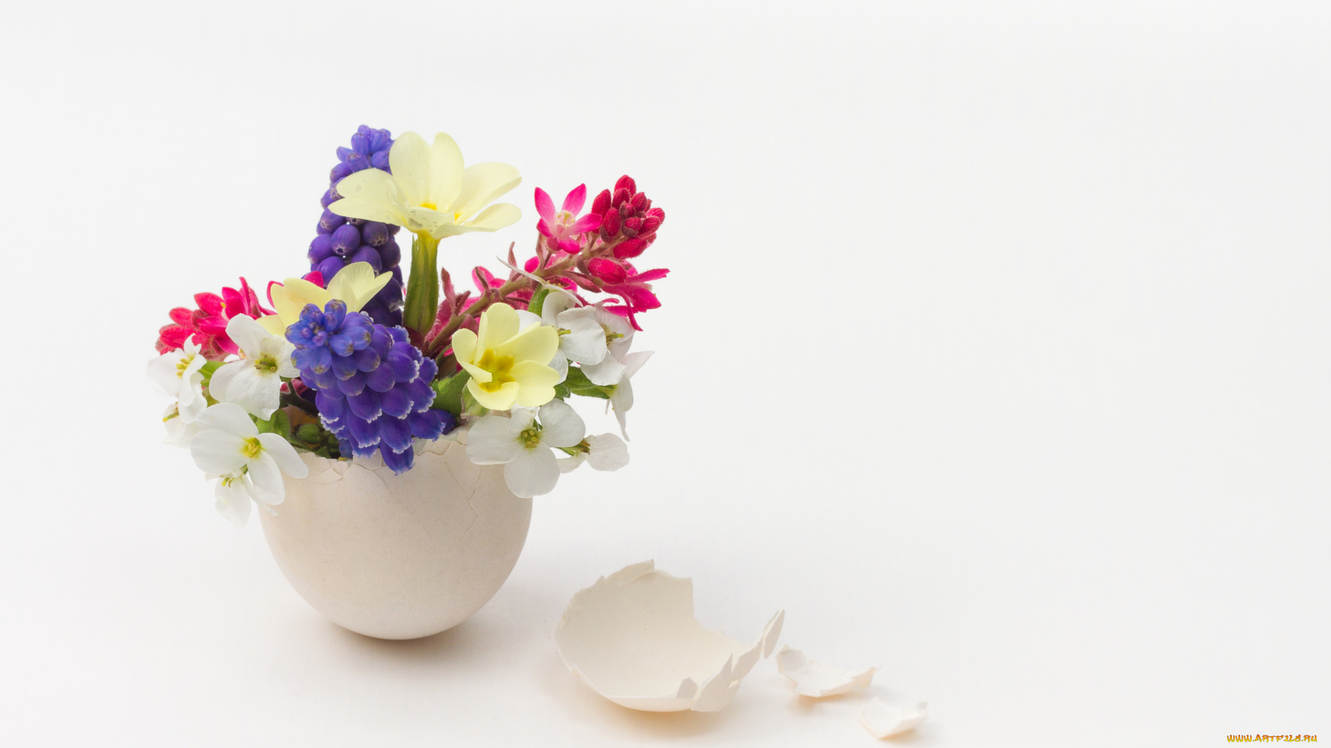 цветы, разные, вместе, букет, яйцо, весенние, скорлупа