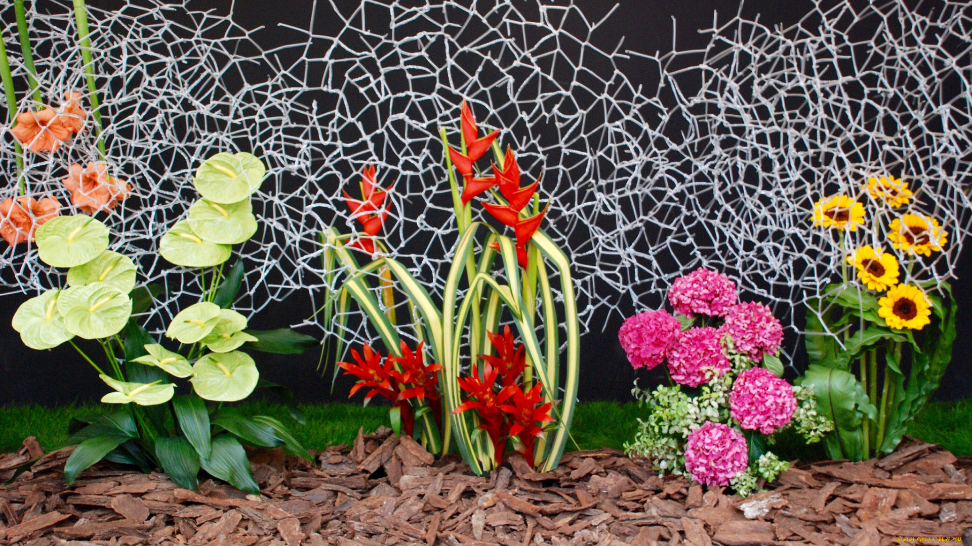 цветы, разные, вместе, разные, клумба