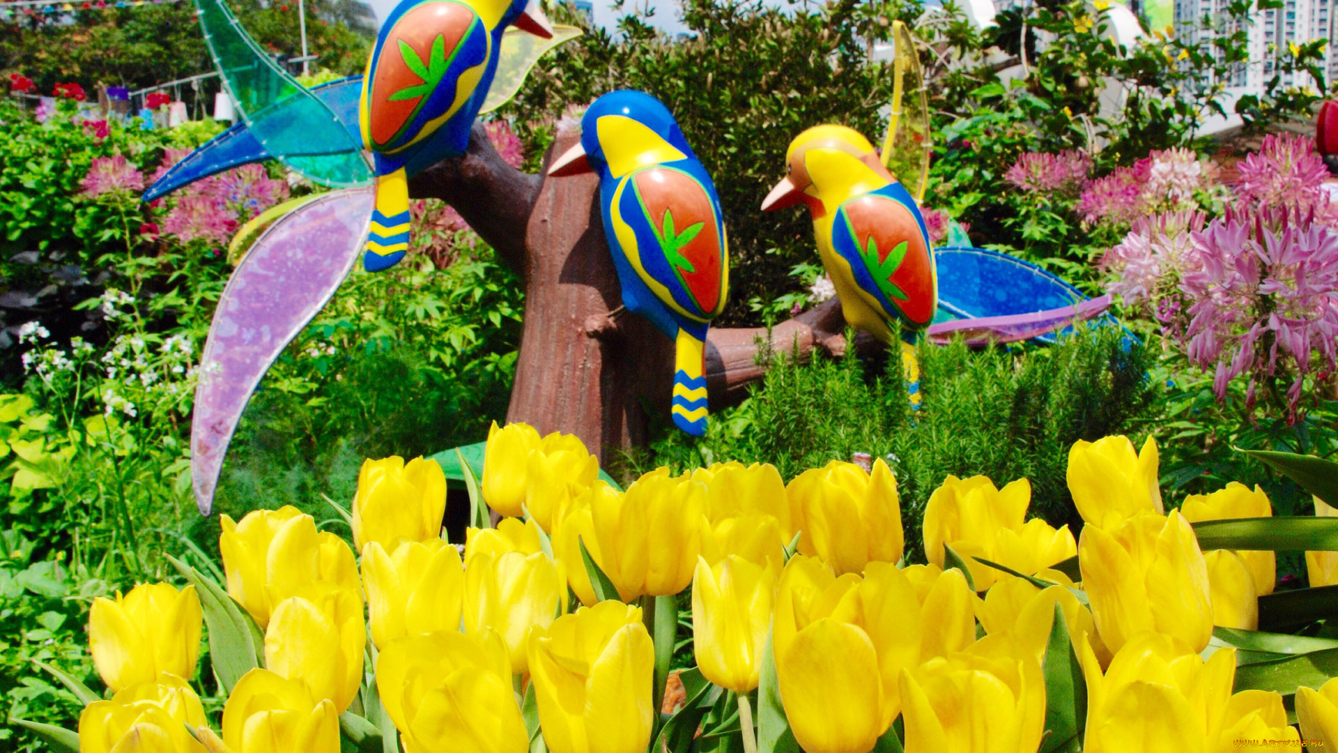 цветы, тюльпаны, жёлтые, птицы, клумба