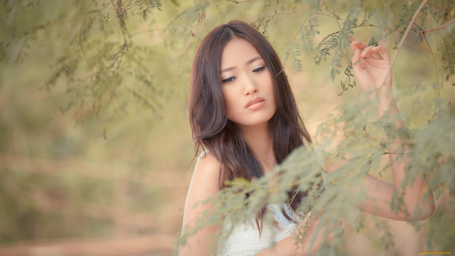 девушки, -unsort, , азиатки, fanny, ng, восточная, красавица, взгляд