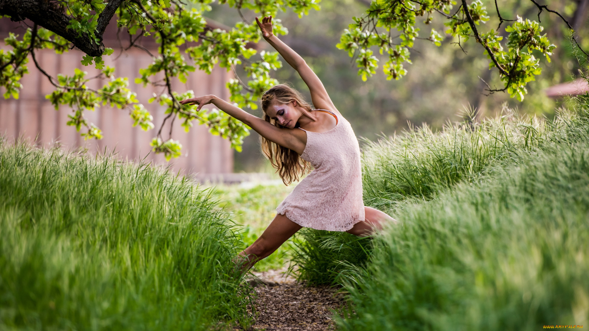 девушки, -unsort, , блондинки, дорожка, трава, лето, танец, девушка, деревья