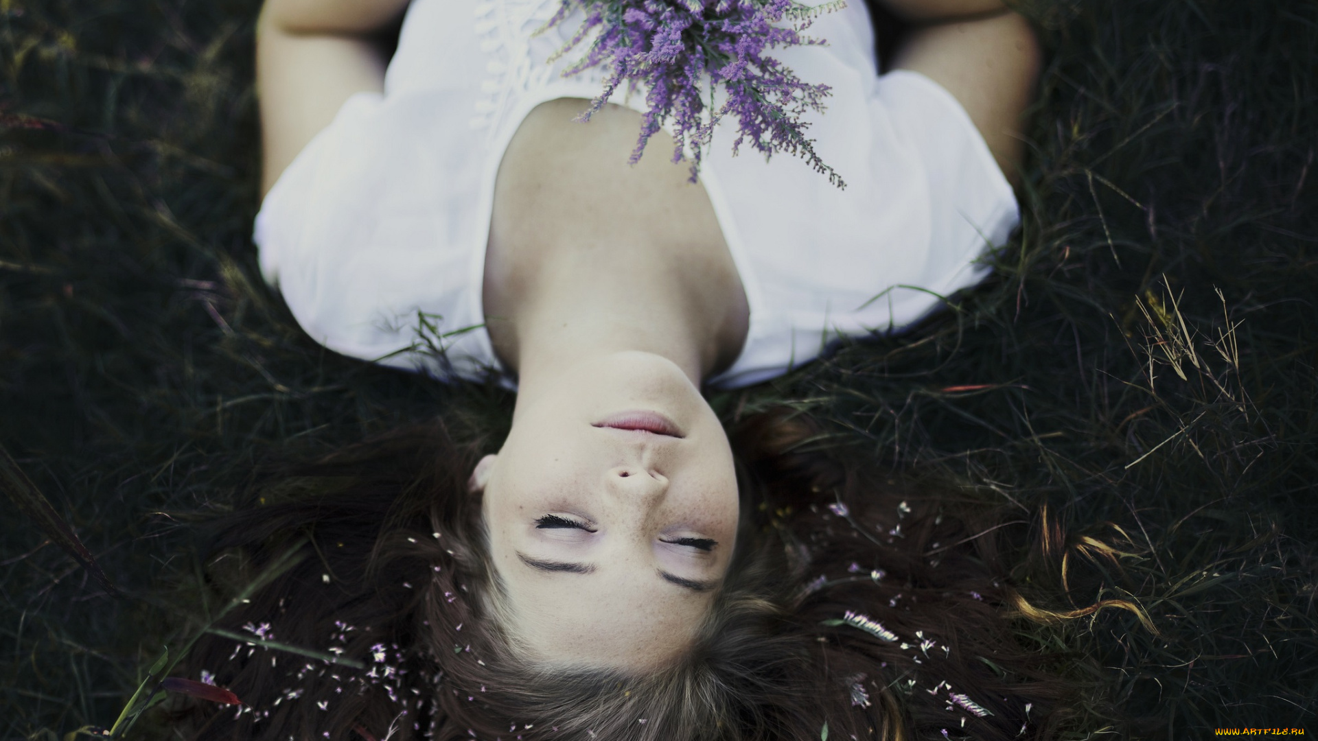 девушки, -unsort, , брюнетки, , шатенки, букет, шатенка, девушка, трава