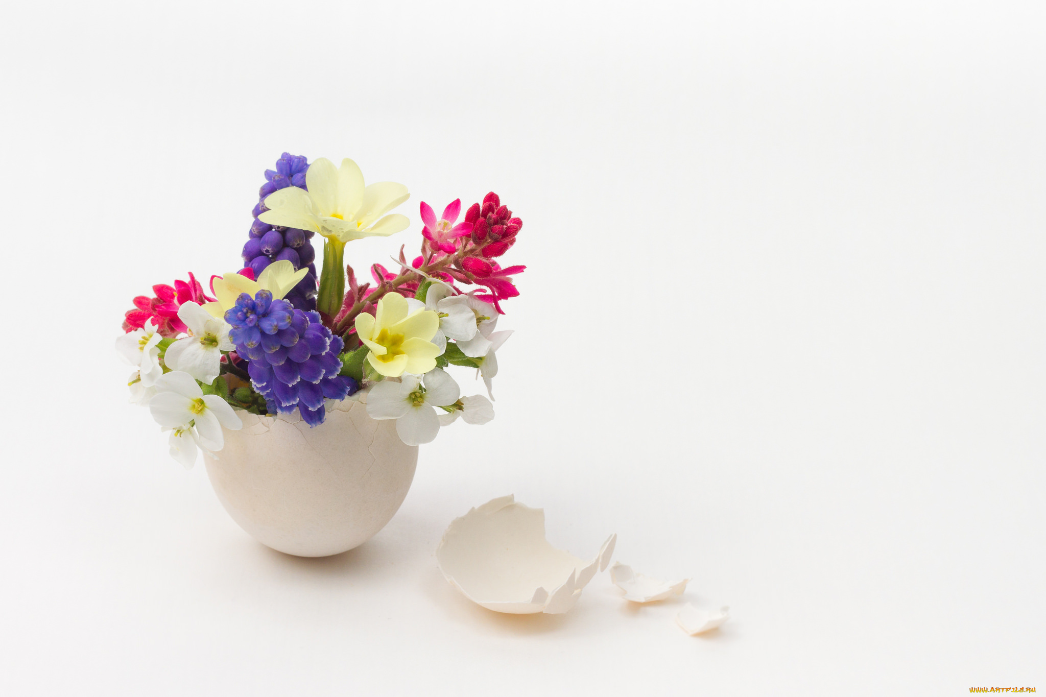 цветы, разные, вместе, букет, яйцо, весенние, скорлупа