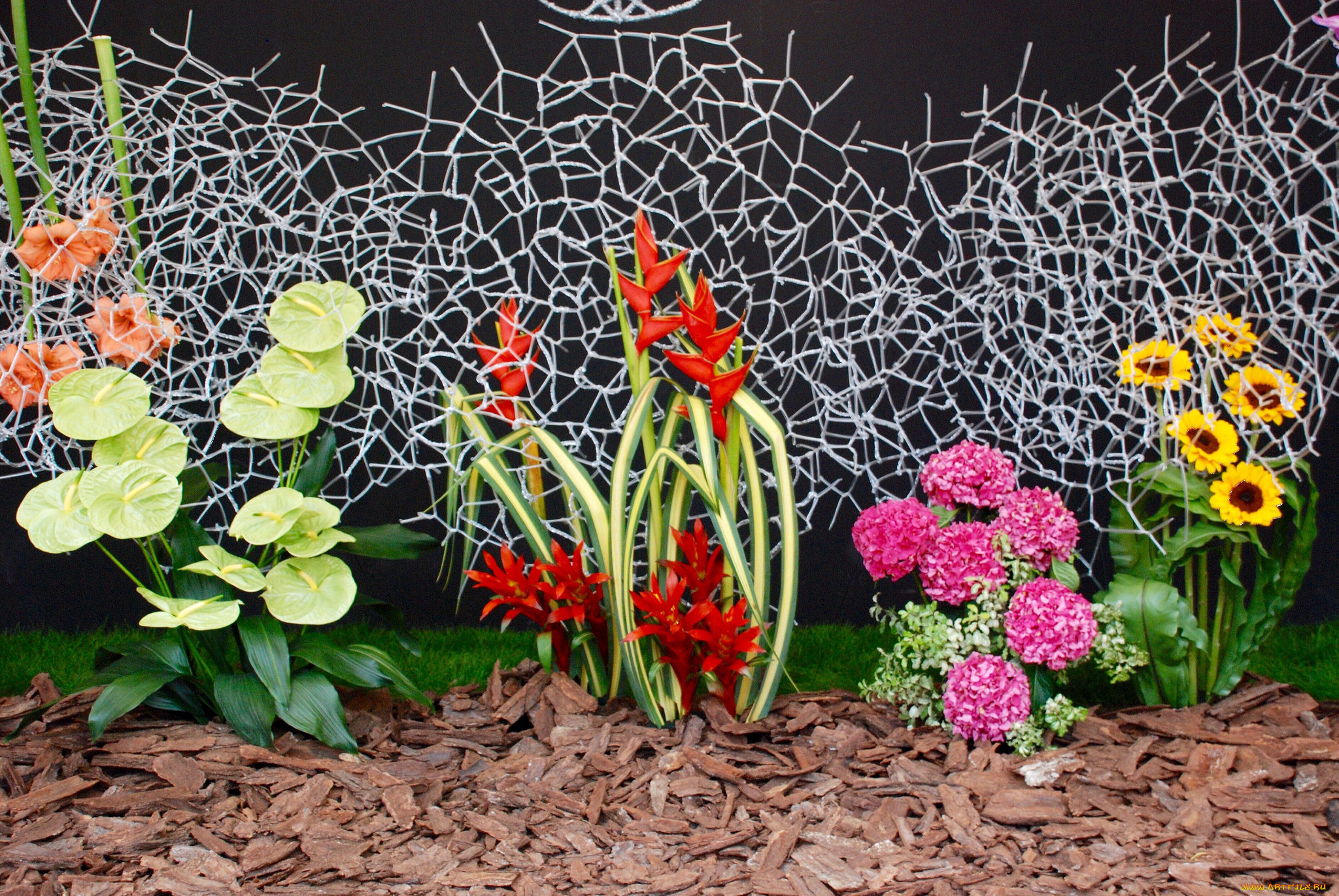 цветы, разные, вместе, разные, клумба