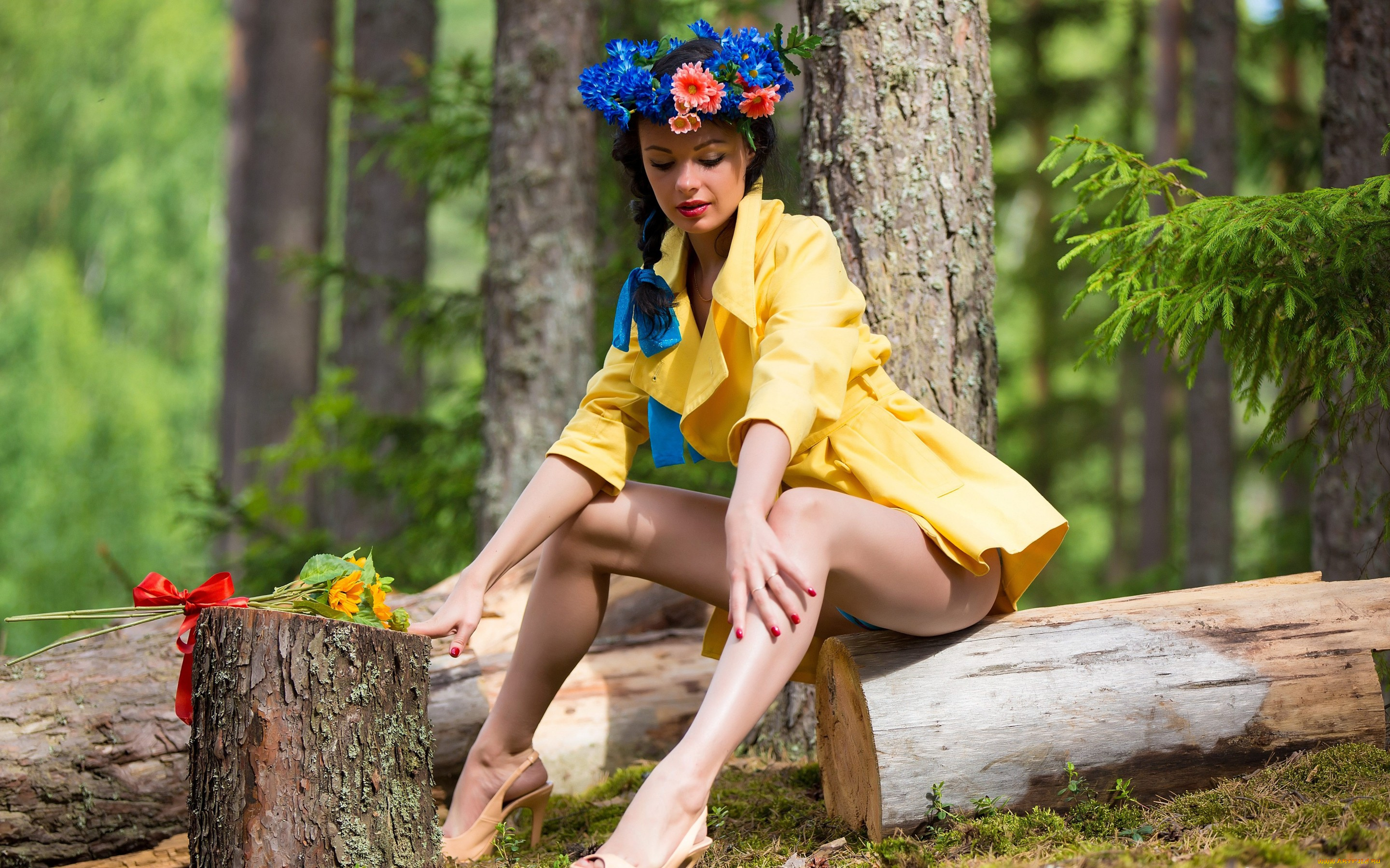 девушки, -unsort, , брюнетки, , шатенки, ромашки, цветы, брюнетка, модель, katie, букет, окно, чулки, взгляд