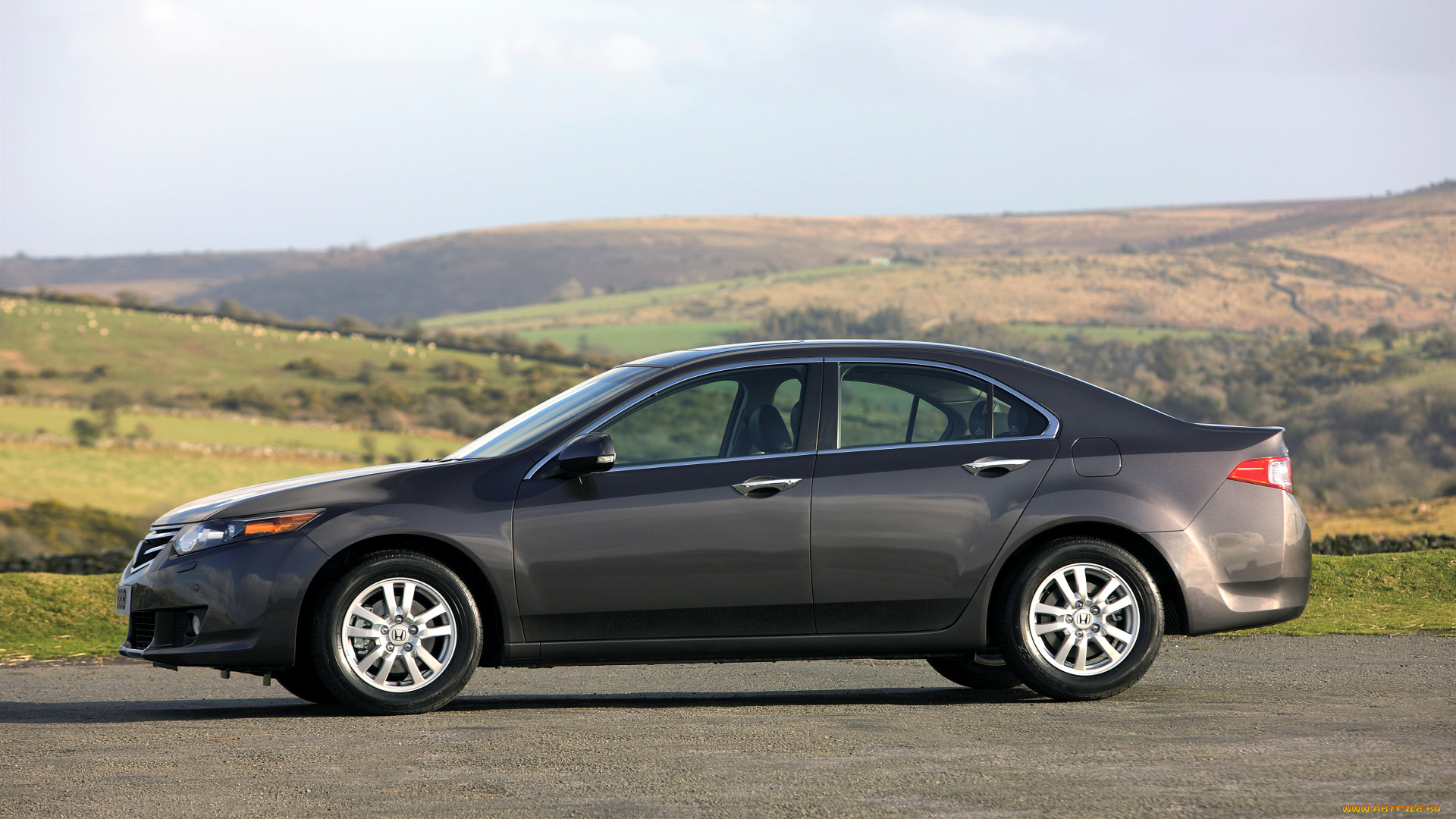 автомобили, honda, accord, sedan