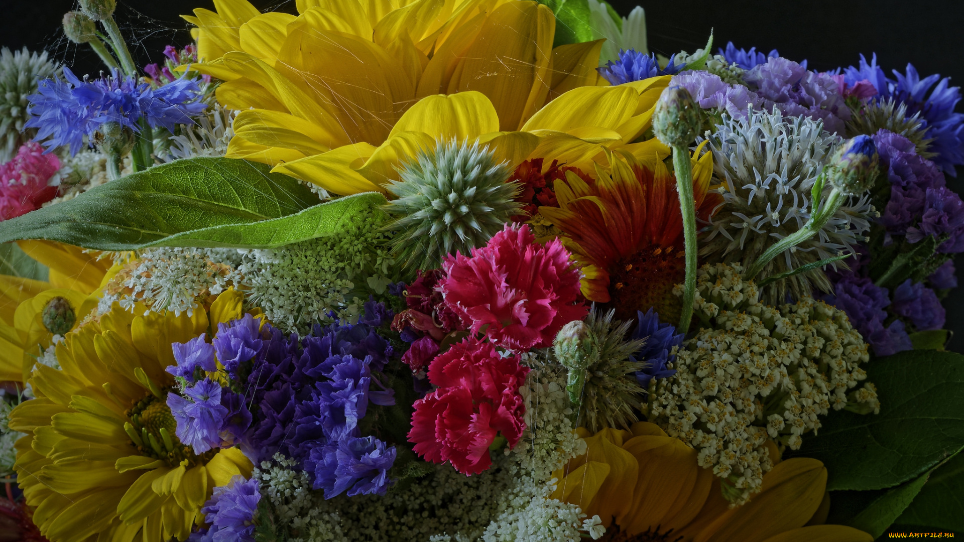 цветы, разные, вместе, листья, лепестки