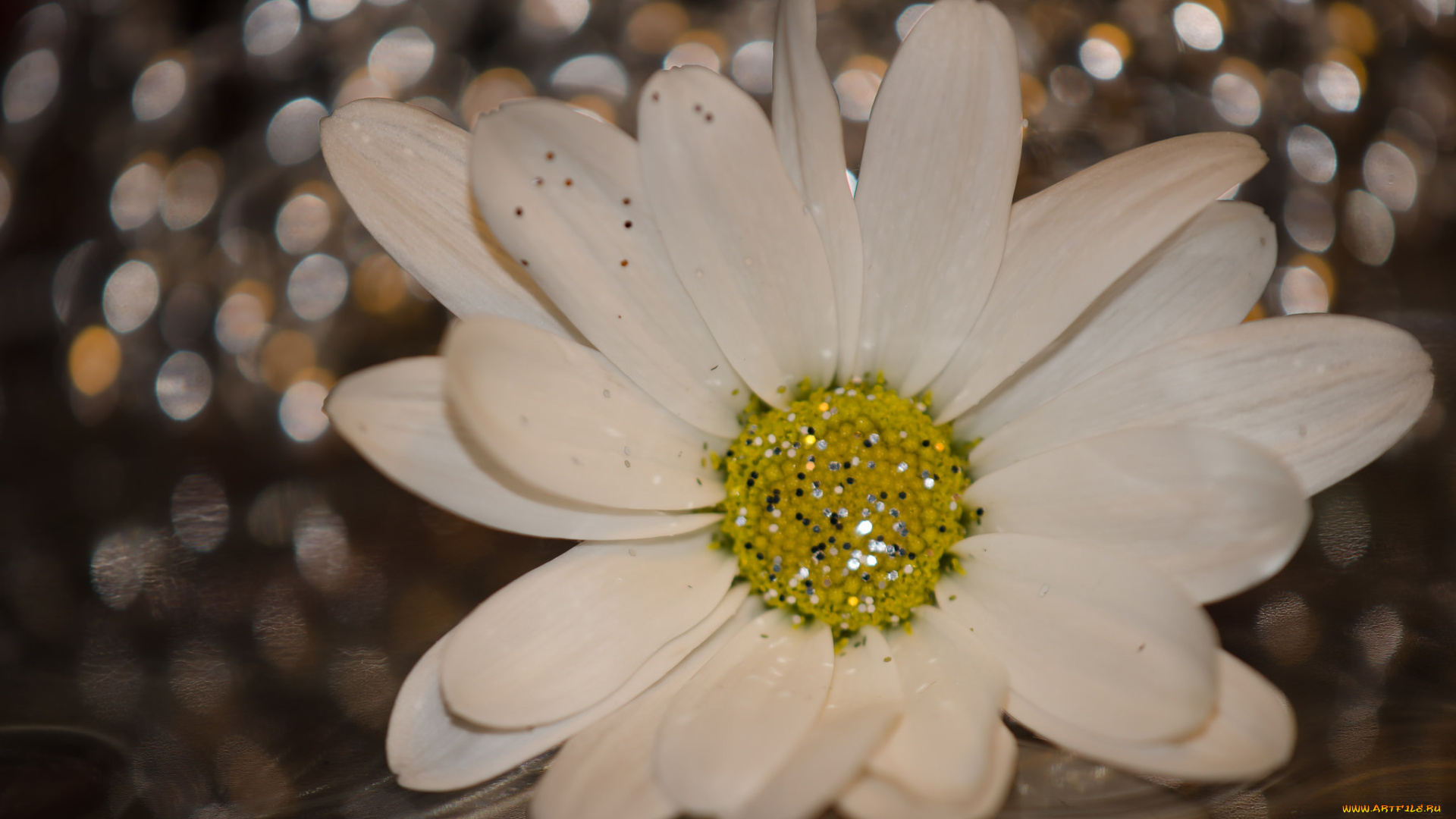 цветы, ромашки, блёстки