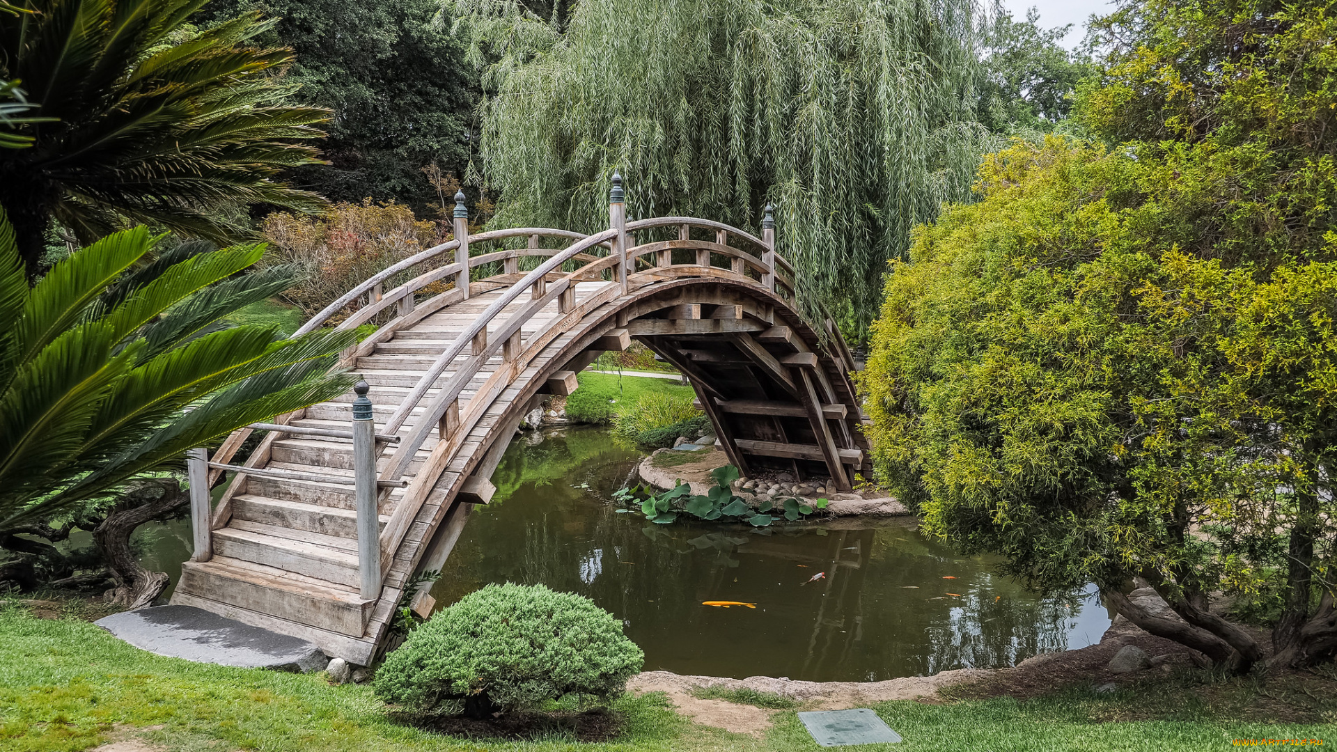 природа, парк, комплекс, природный