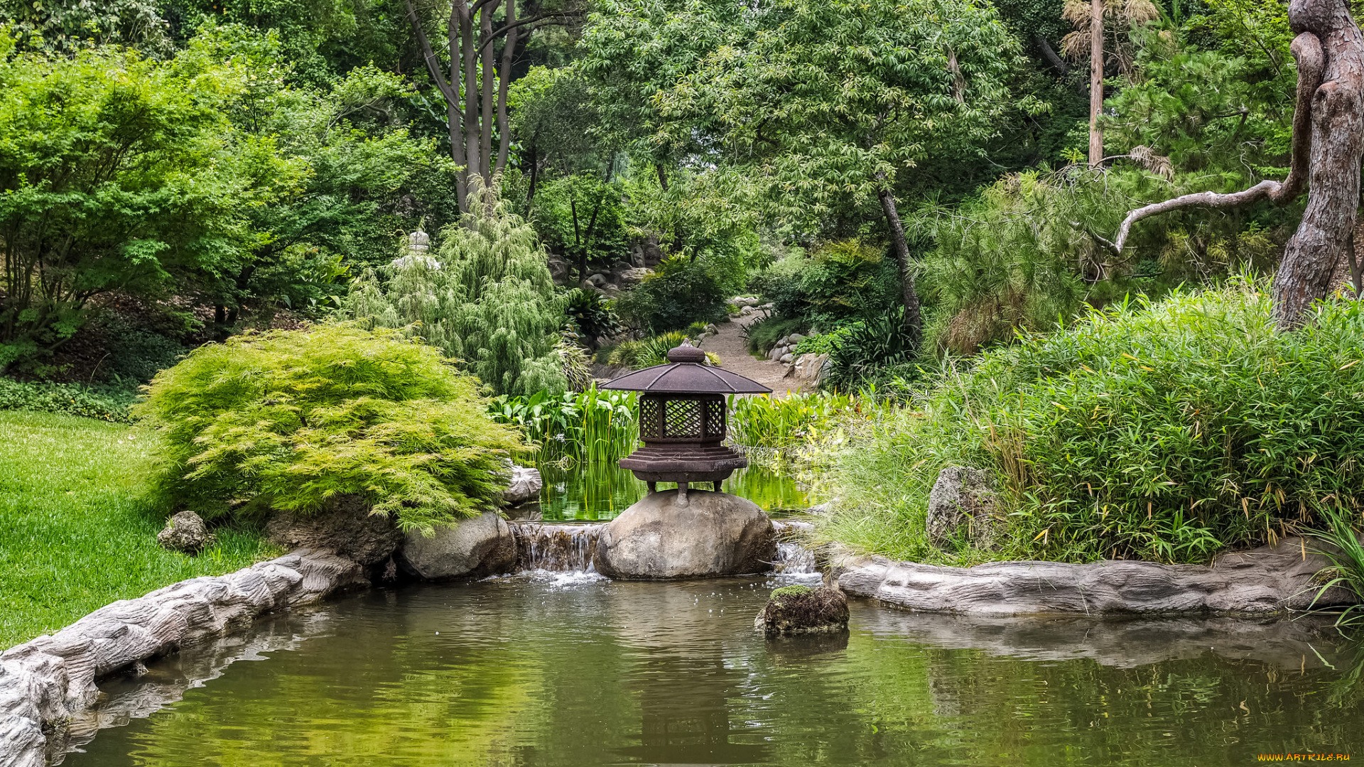 природа, парк, природный, комплекс
