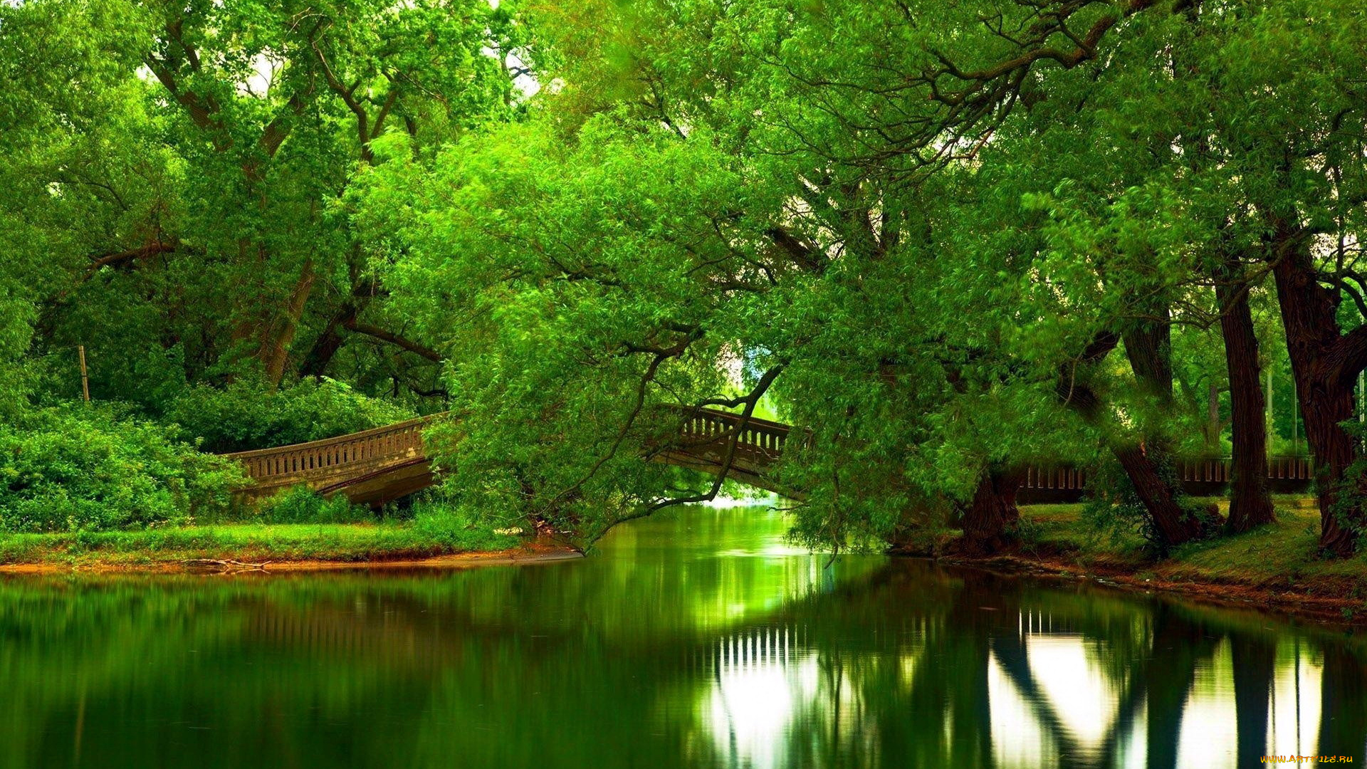 природа, парк, речка, мостик, изумрудный