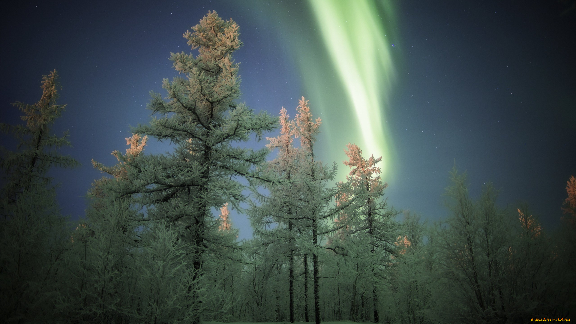 природа, северное, сияние, ночь, сияние, зима