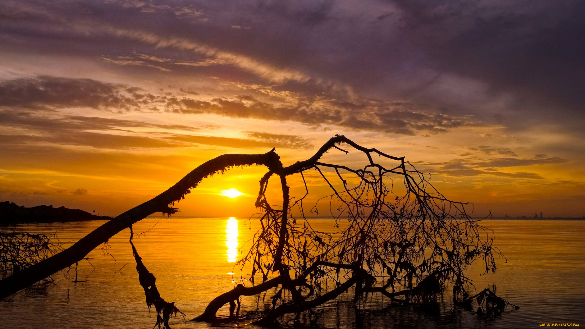 природа, восходы, закаты, рассвет