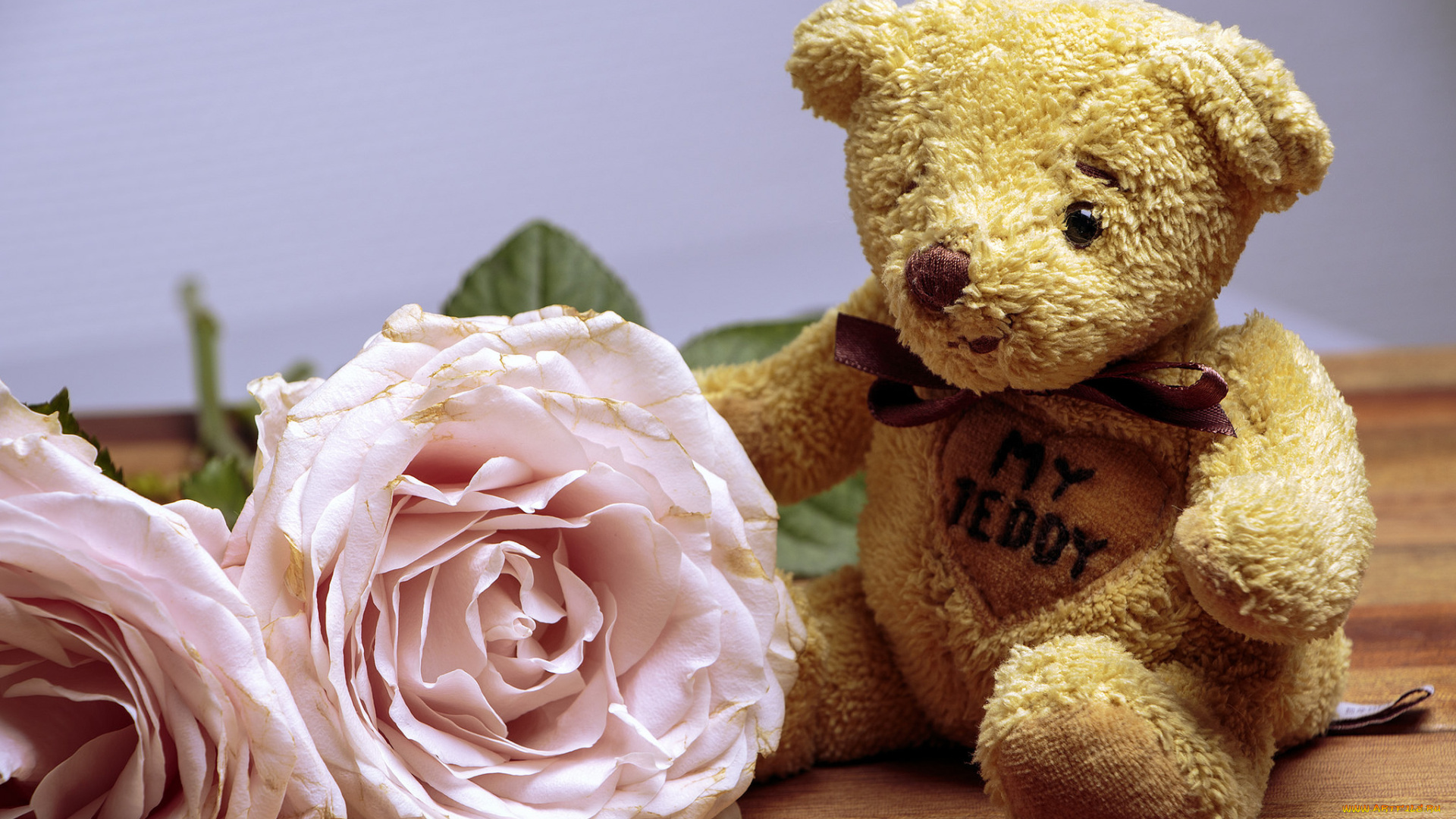 разное, игрушки, цветы, мишка