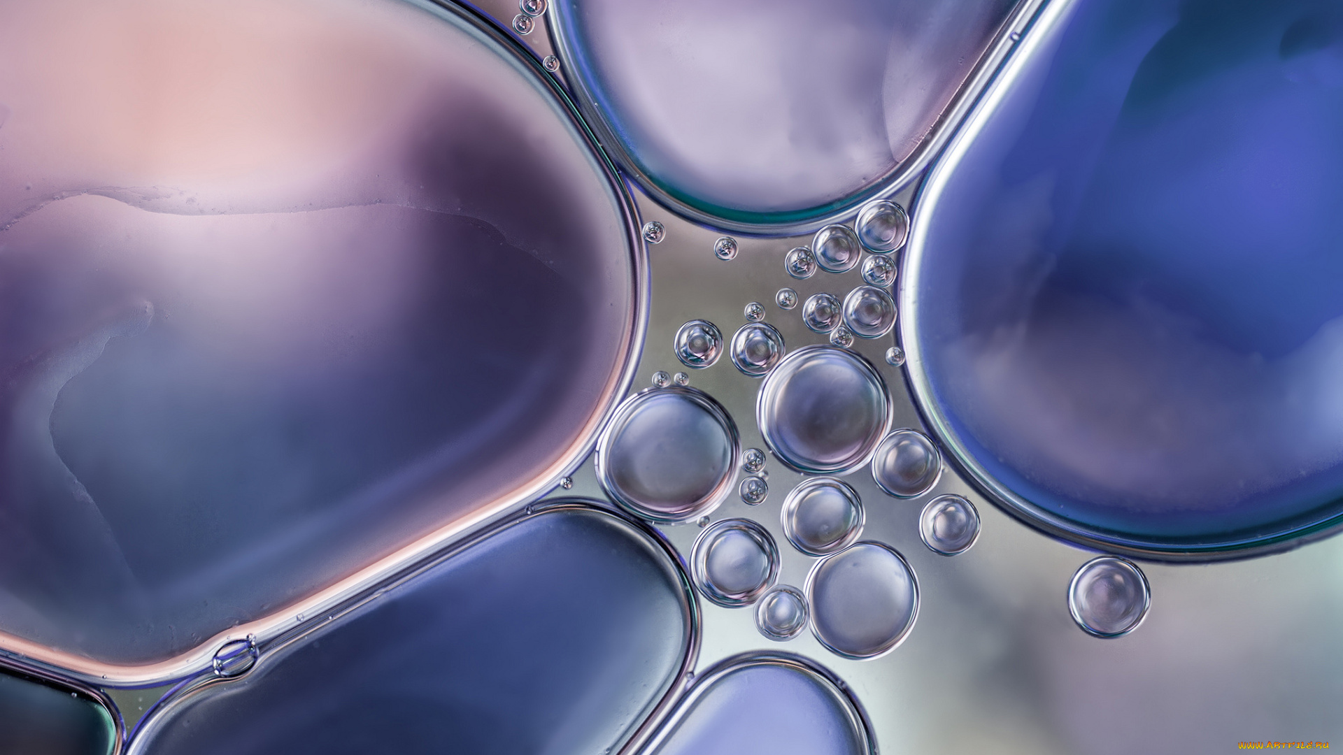 разное, капли, , брызги, , всплески, вода, масло, масляные, круги, пузыри, макро