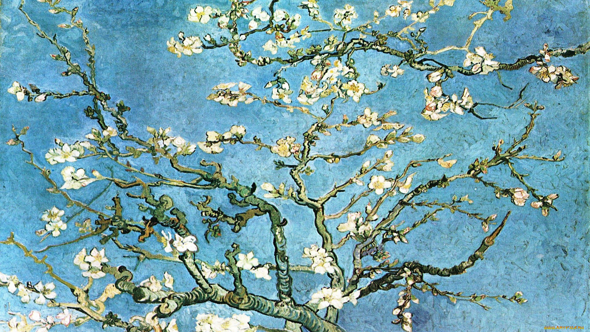 рисованное, природа, дерево, цветение, весна, ветки