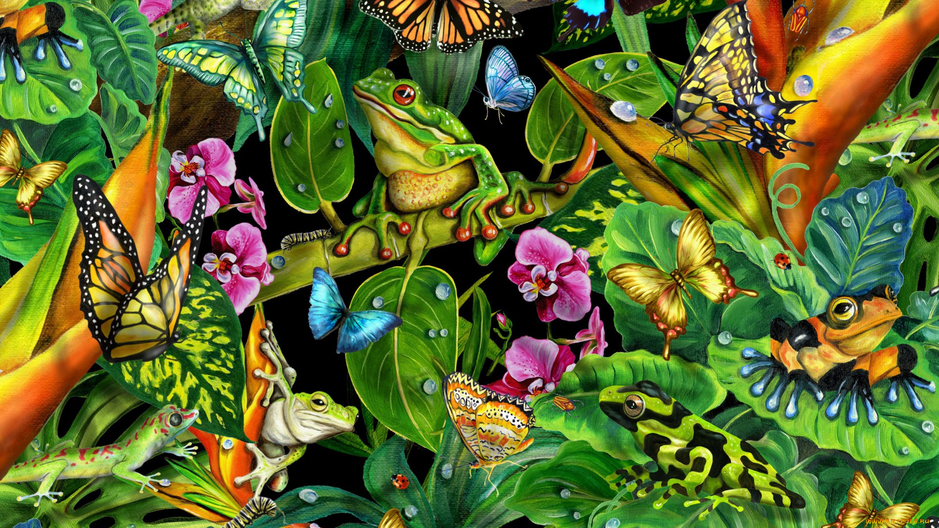 рисованное, животные, растение, лягушки, бабочки
