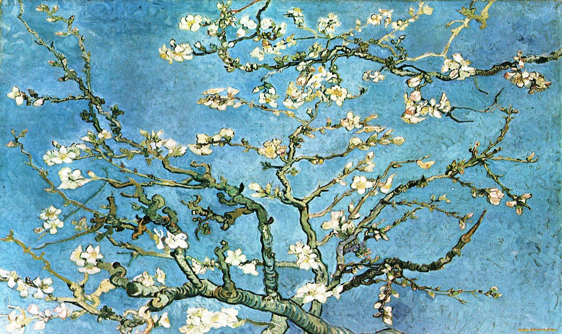 рисованное, природа, дерево, цветение, весна, ветки