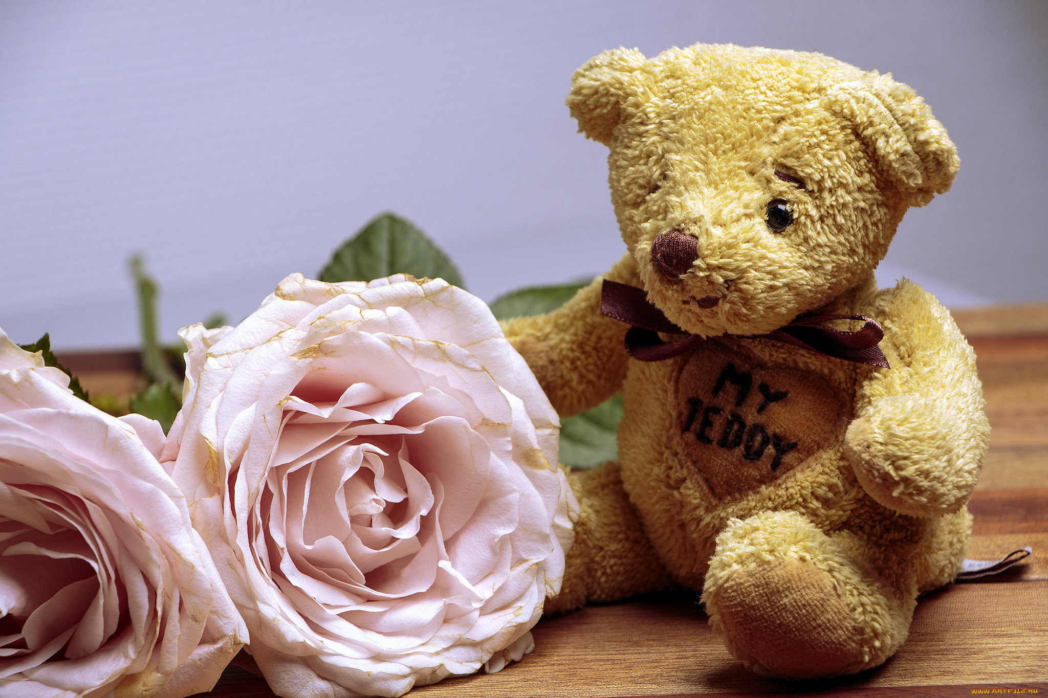 разное, игрушки, цветы, мишка