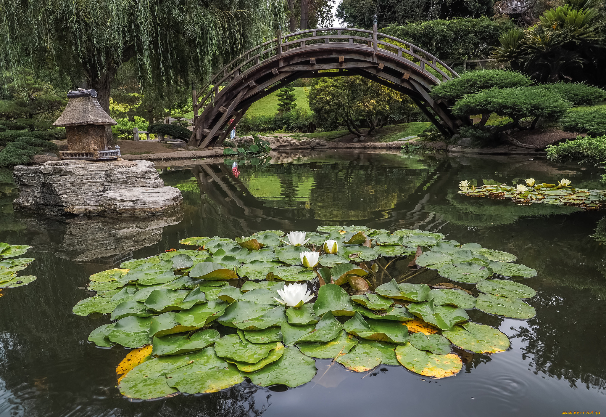 природа, парк, комплекс, природный