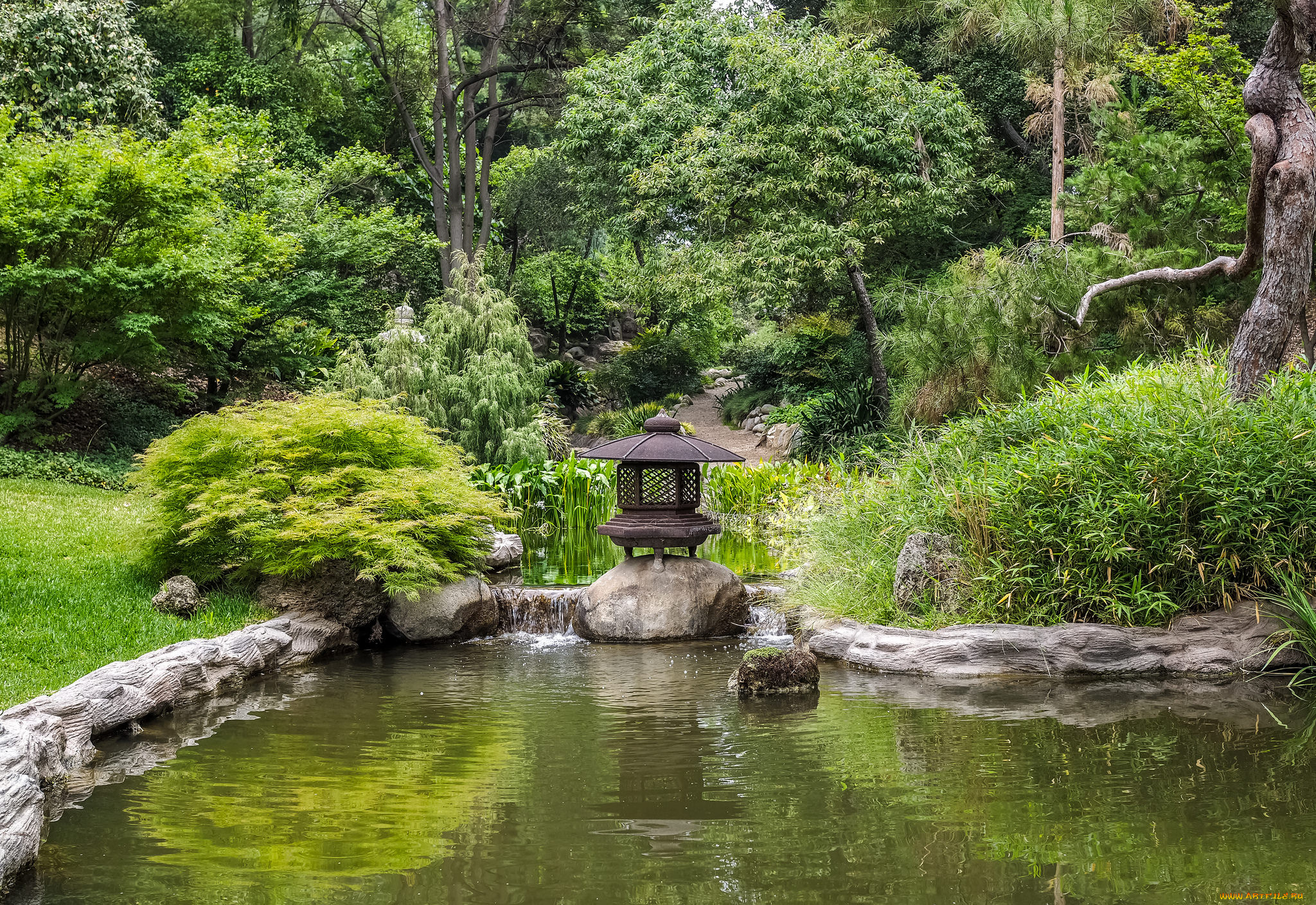 природа, парк, природный, комплекс
