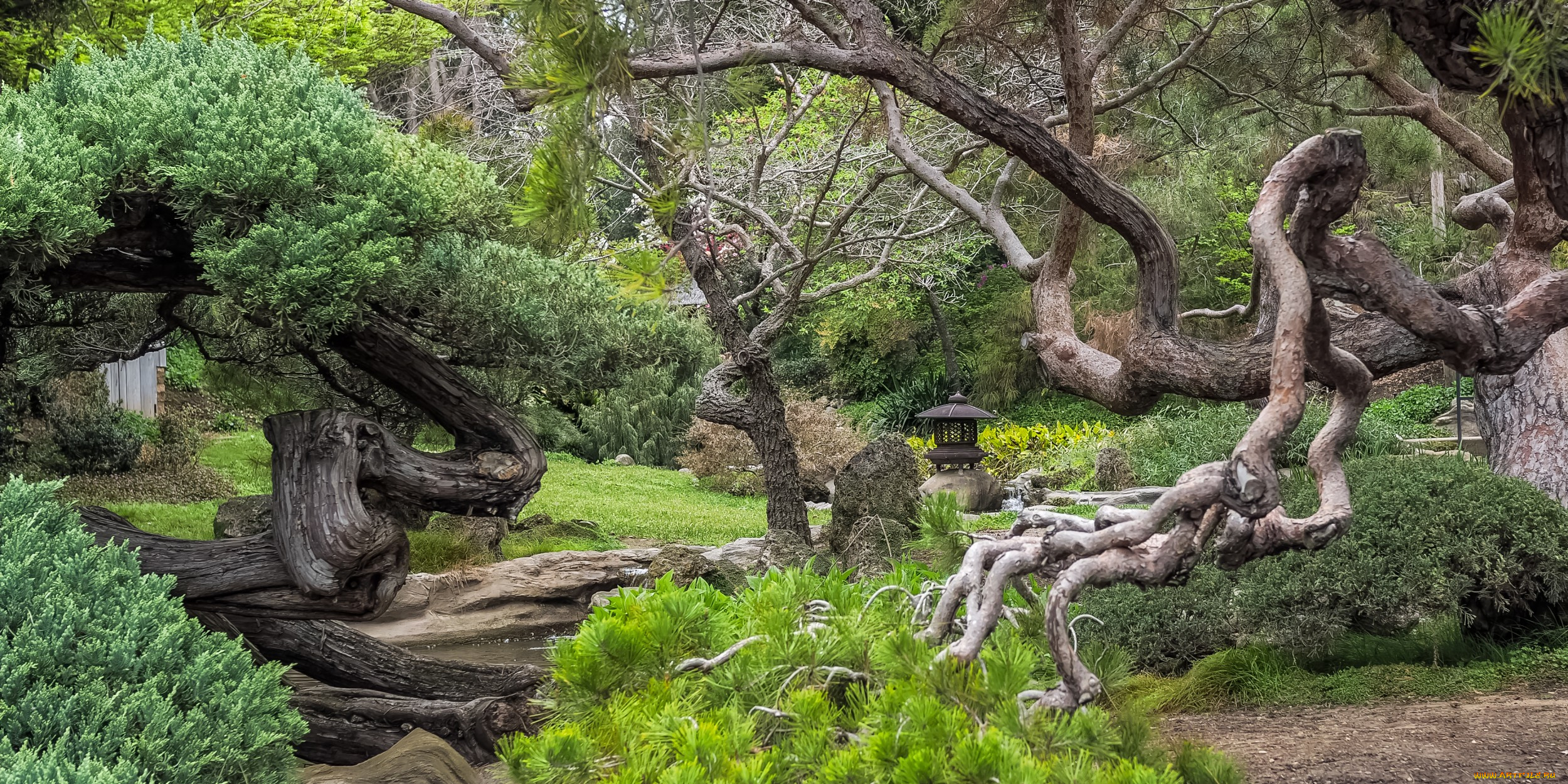 природа, парк, природный, комплекс