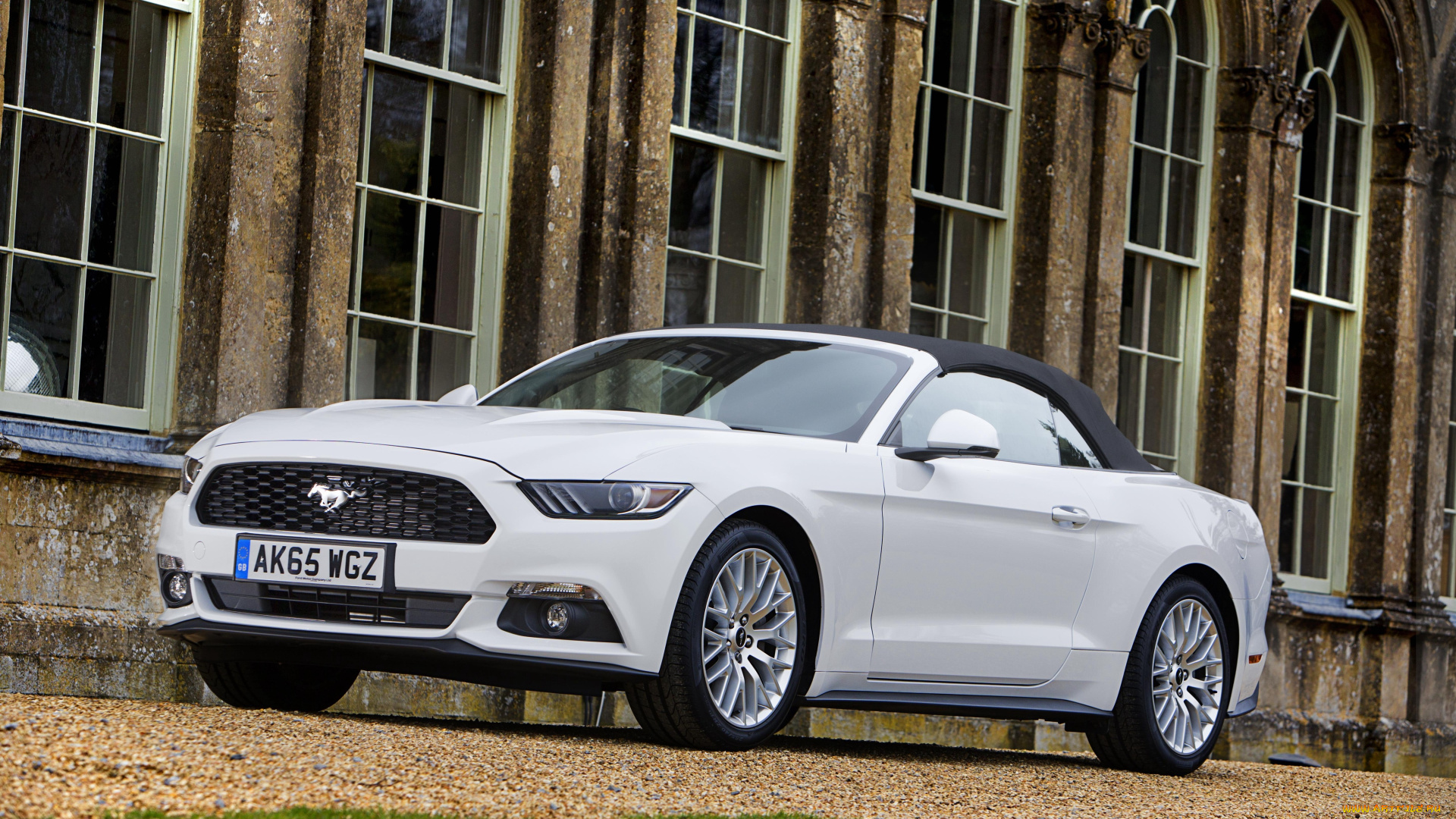 автомобили, mustang, ford