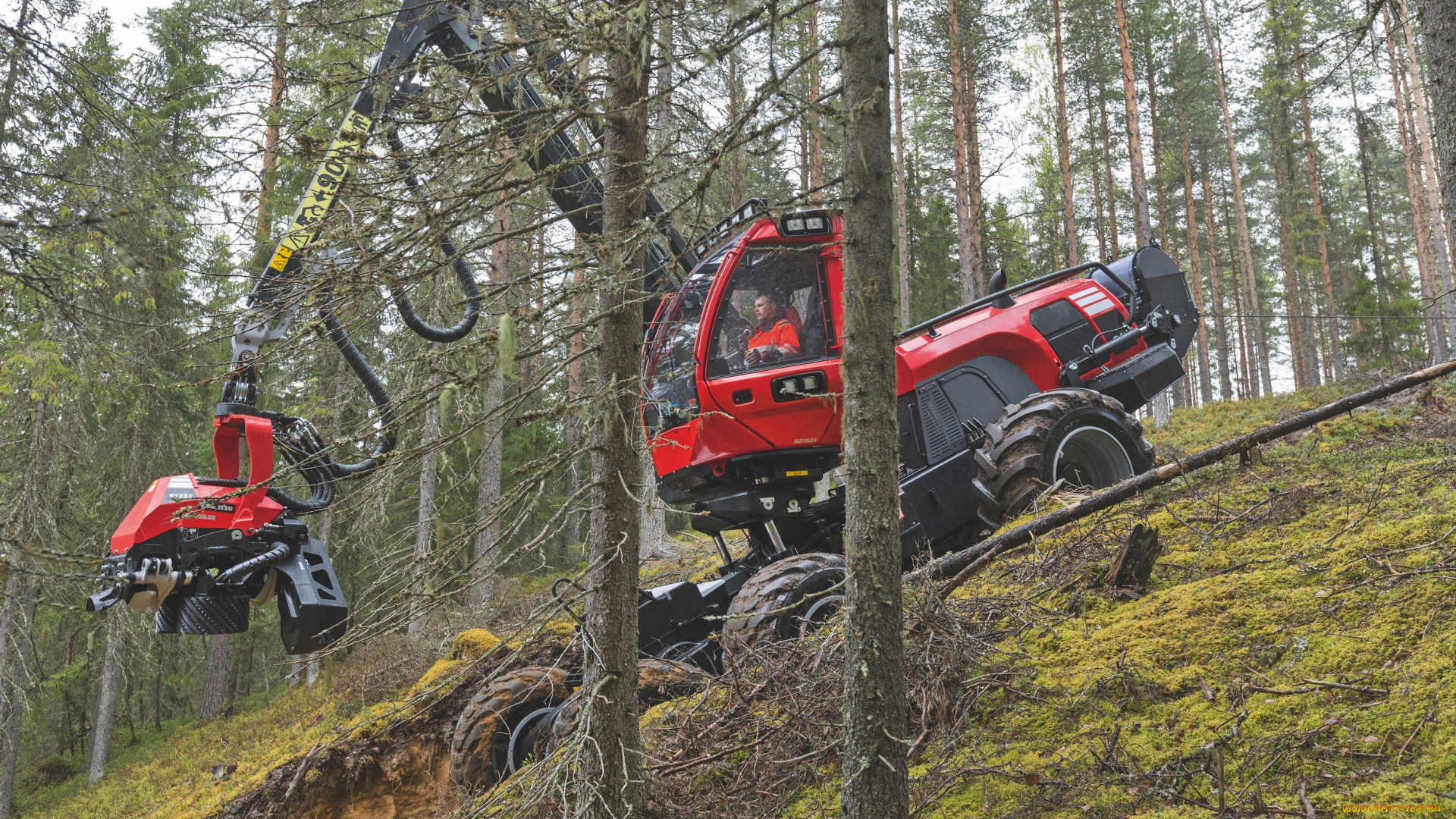 техника, лесоповалочная, техника, komatsu