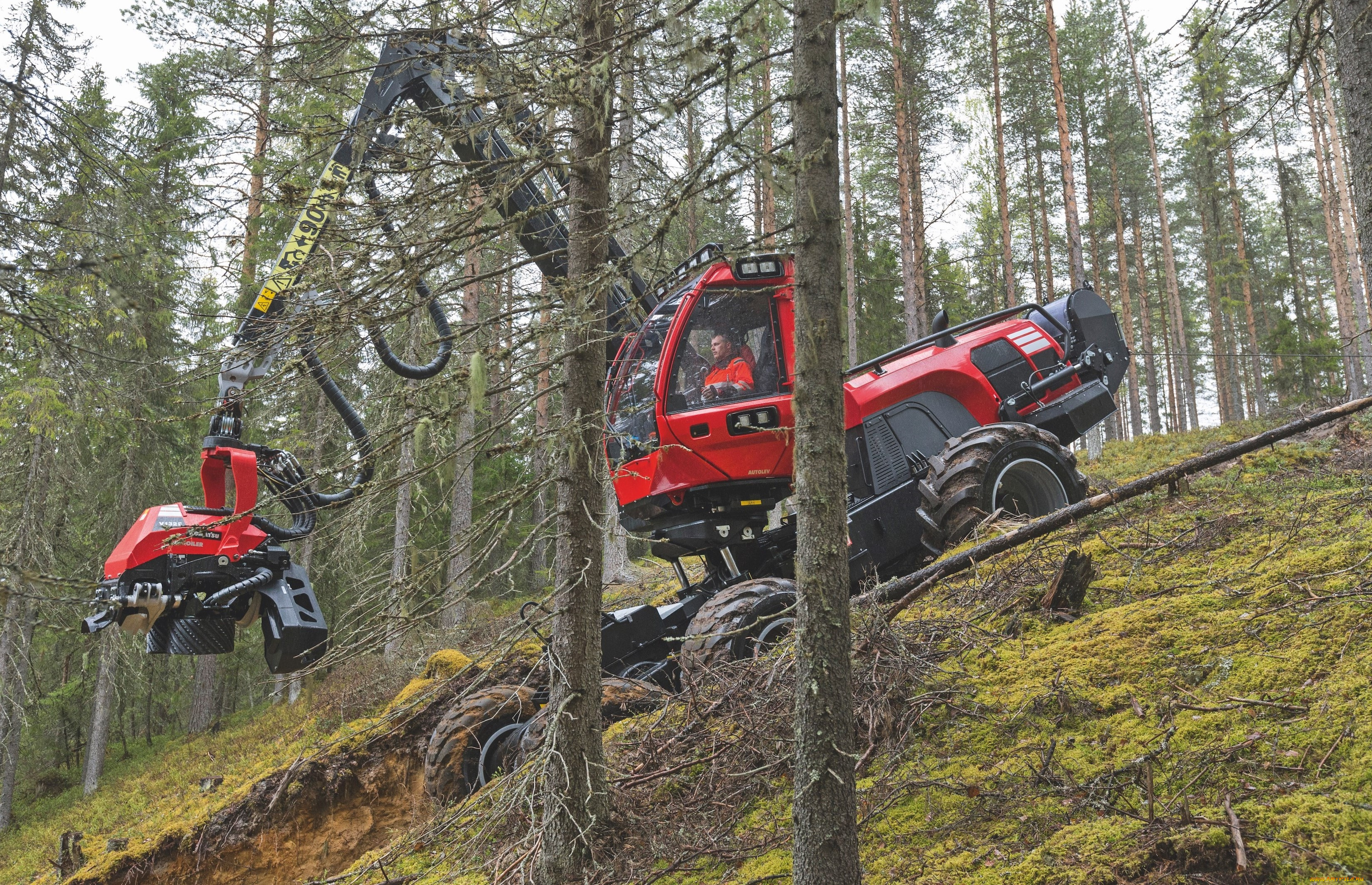техника, лесоповалочная, техника, komatsu