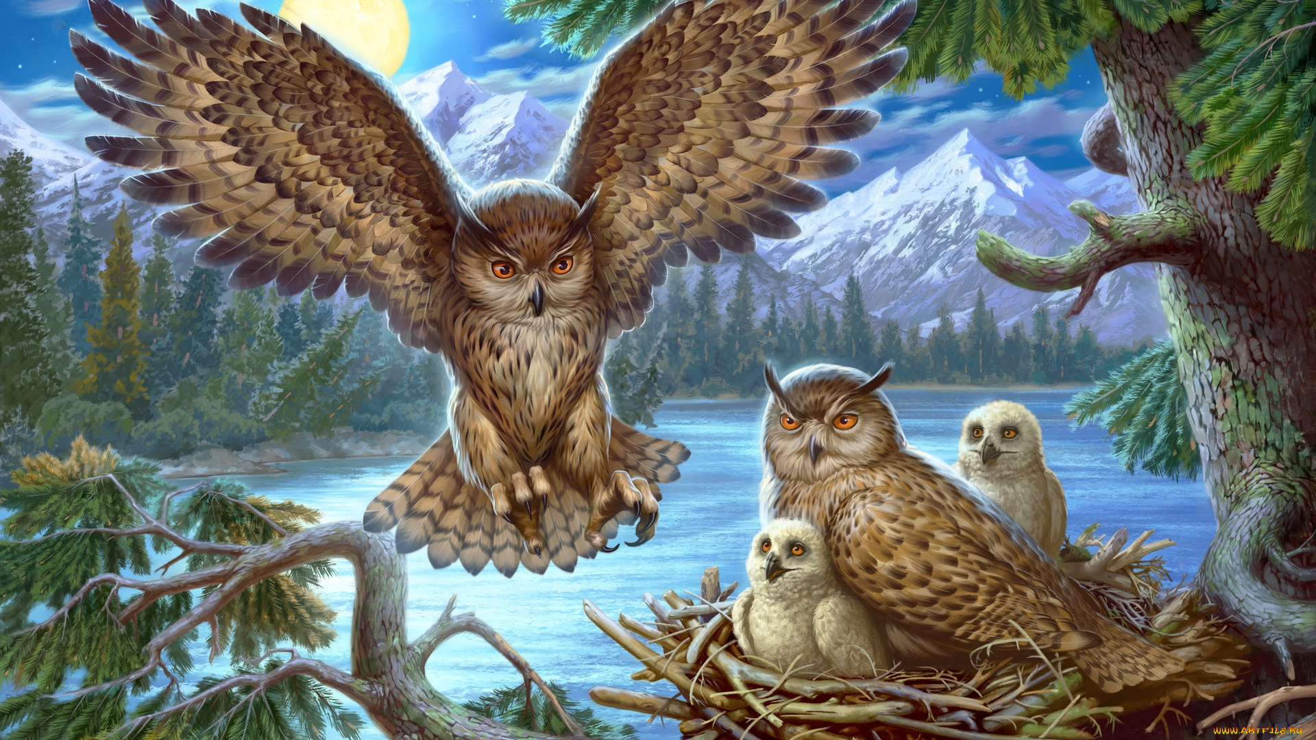 рисованное, животные, , птицы, , совы, , филины, сова