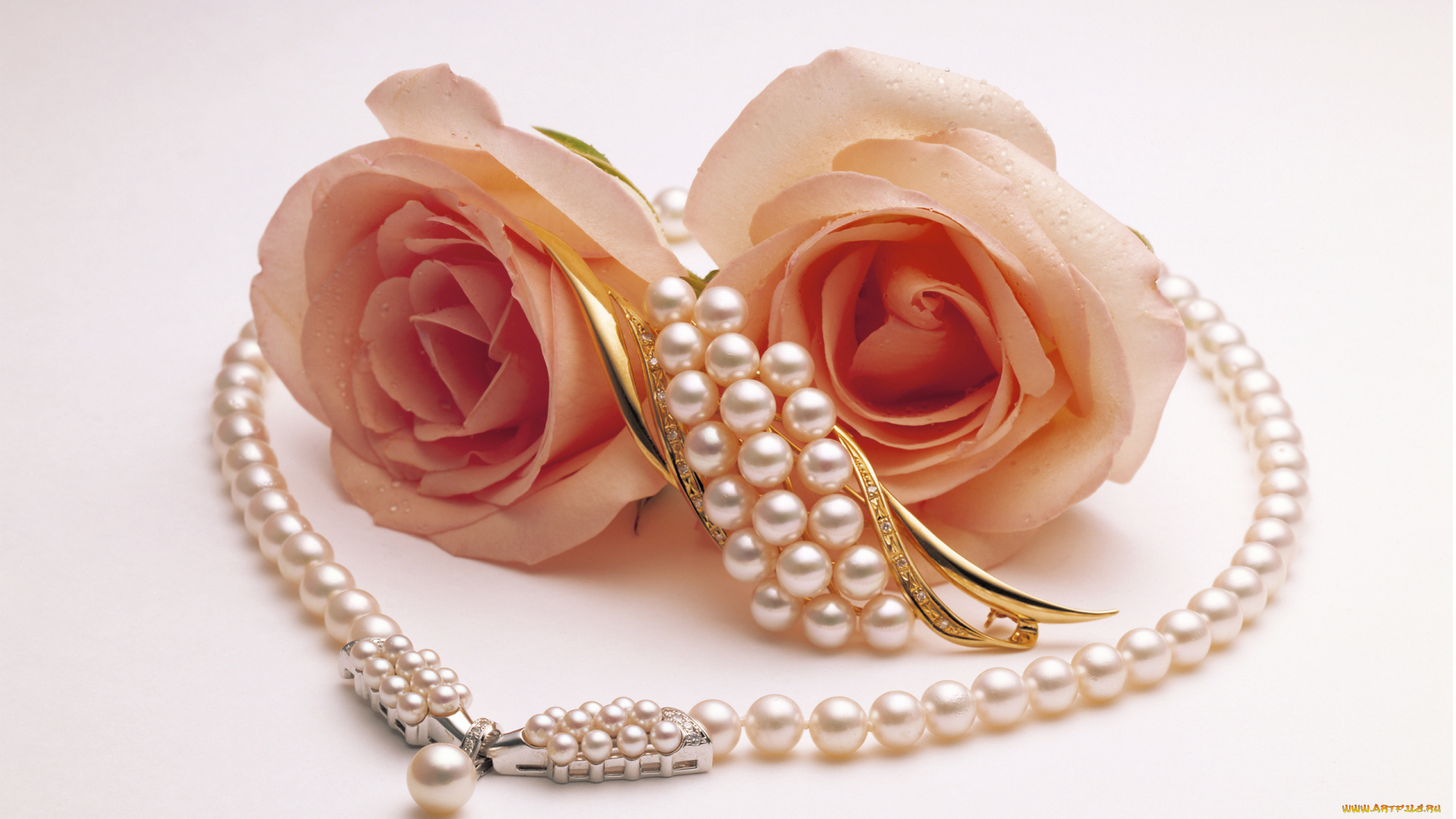 разное, украшения, , аксессуары, , веера, розы, жемчуг, ожерелье