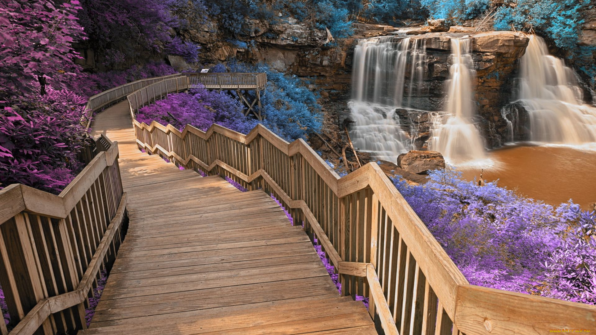 blackwater, falls, west, virginia, природа, водопады, blackwater, falls, west, virginia