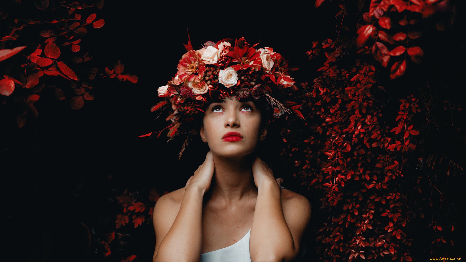 девушки, -, креатив, , косплей, венок, креатив