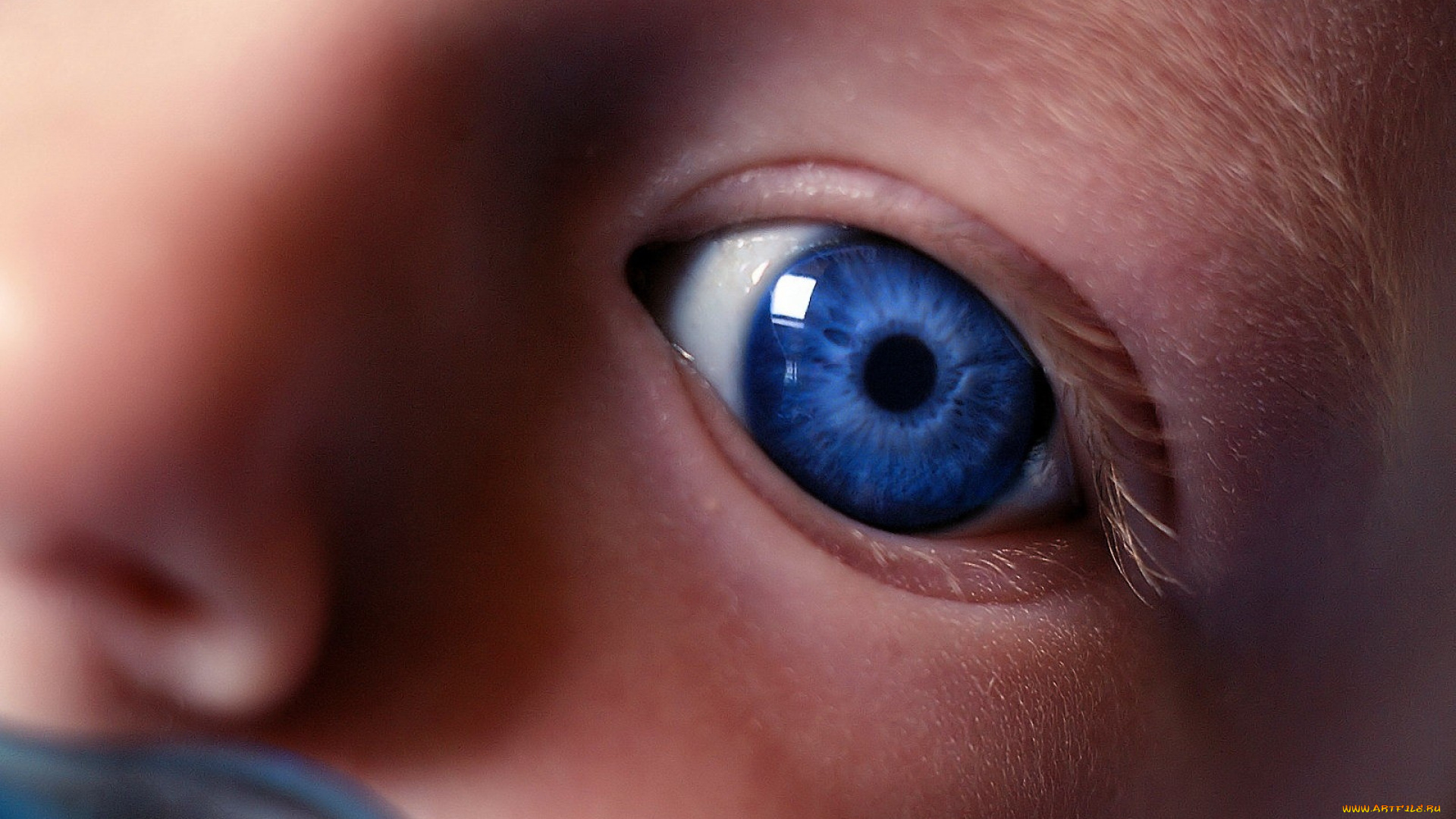 разное, глаза, ребенок, взгляд