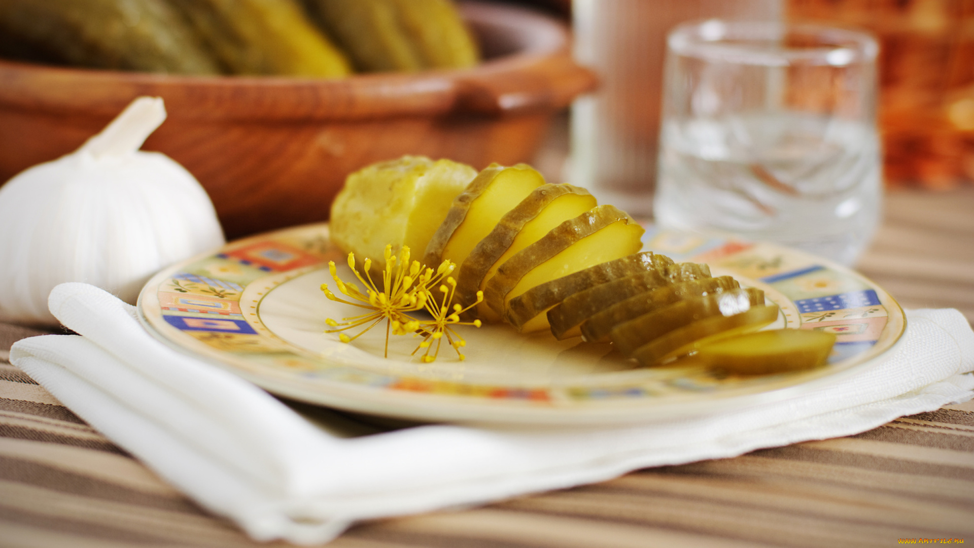 еда, огурцы, чеснок, соленые, укроп