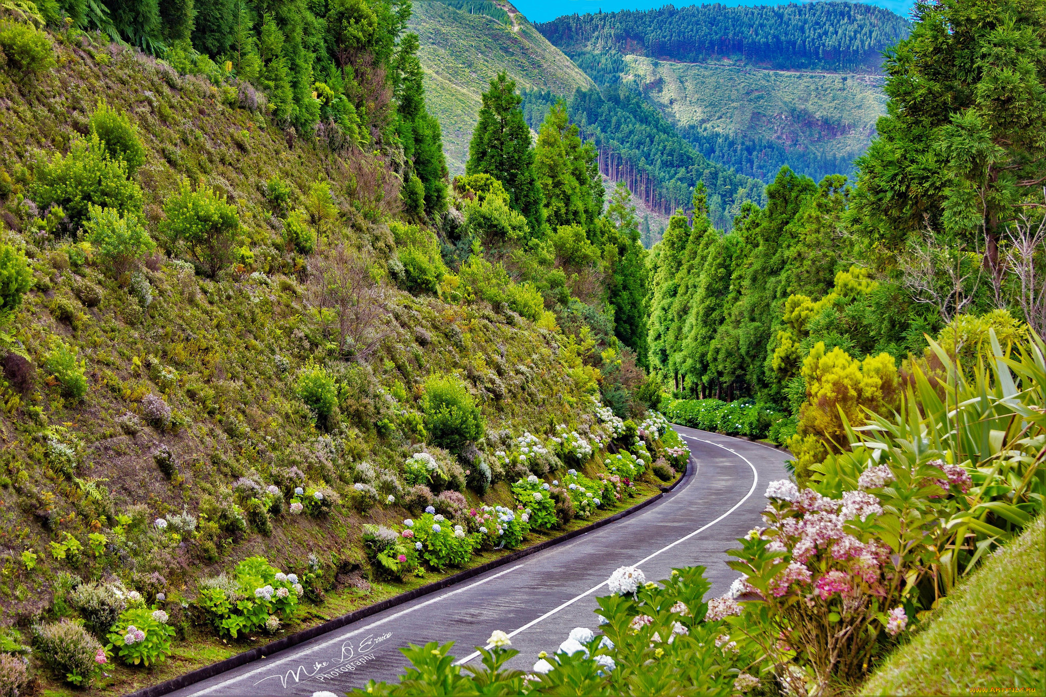 природа, дороги, дорога