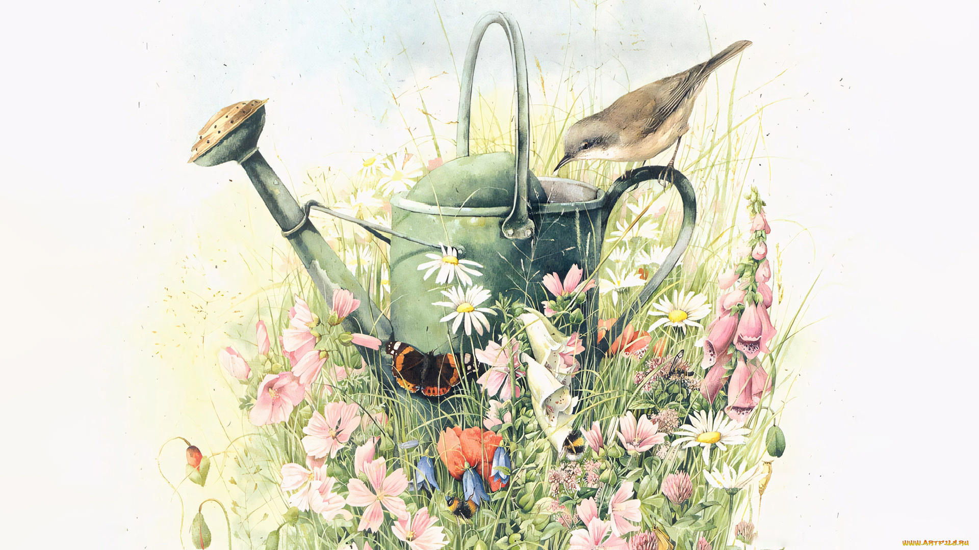 295739, рисованное, животные, , птицы, лейка, птичка