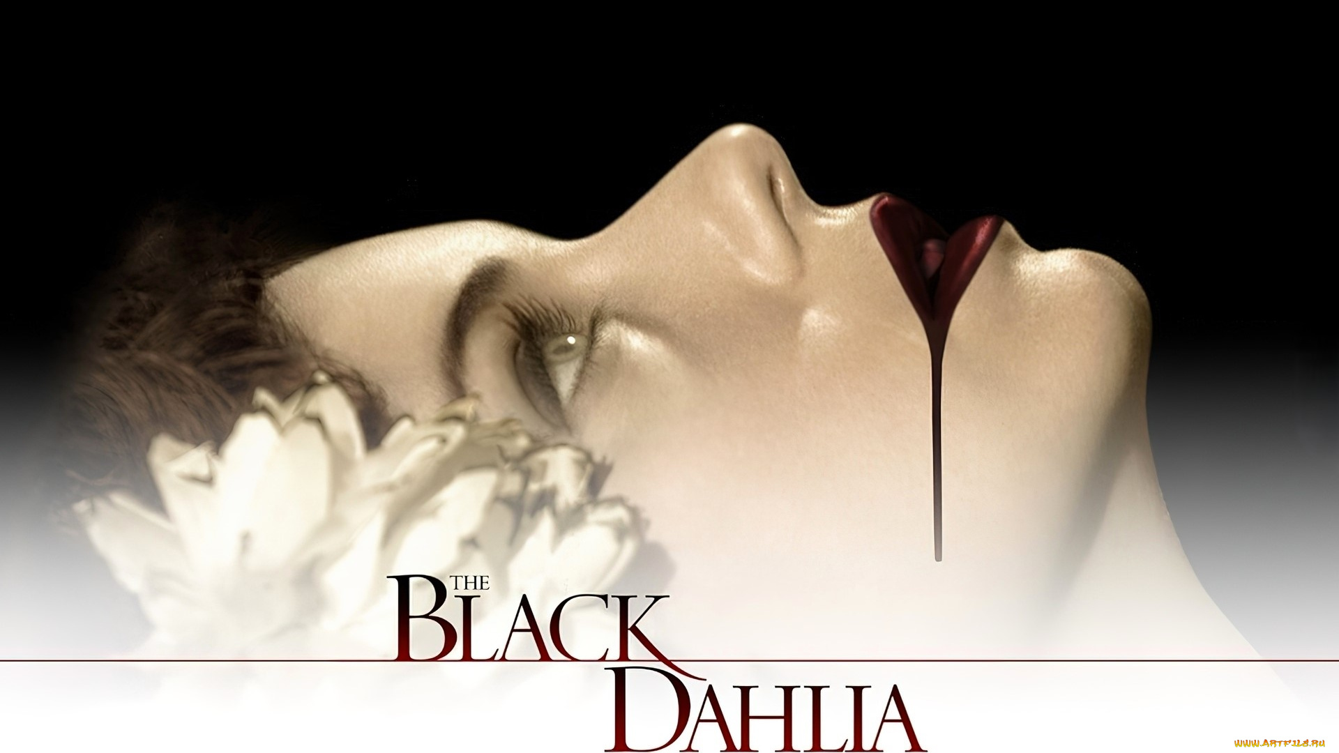 кино, фильмы, the, black, dahlia, девушка, лицо, цветок