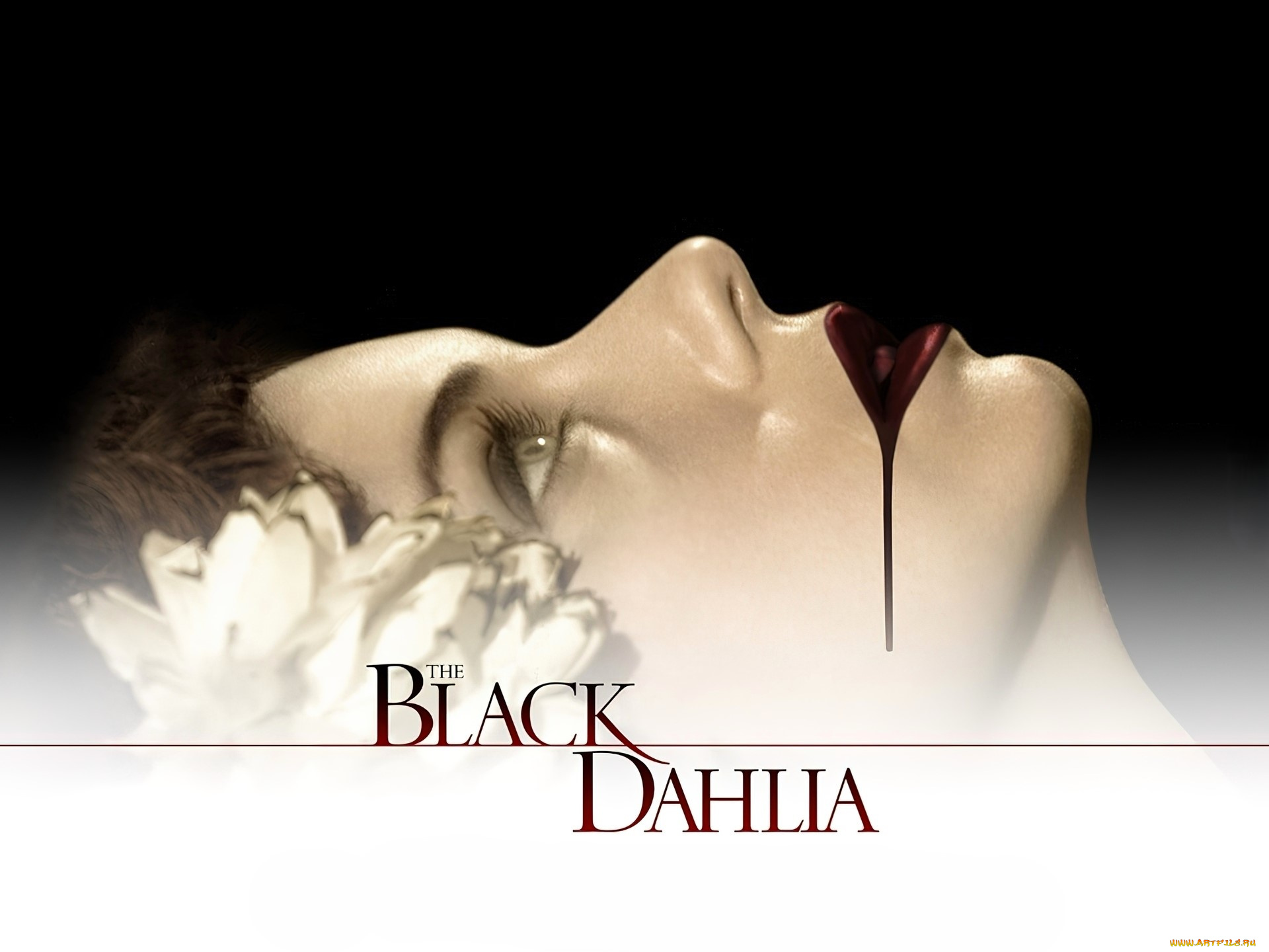 кино, фильмы, the, black, dahlia, девушка, лицо, цветок