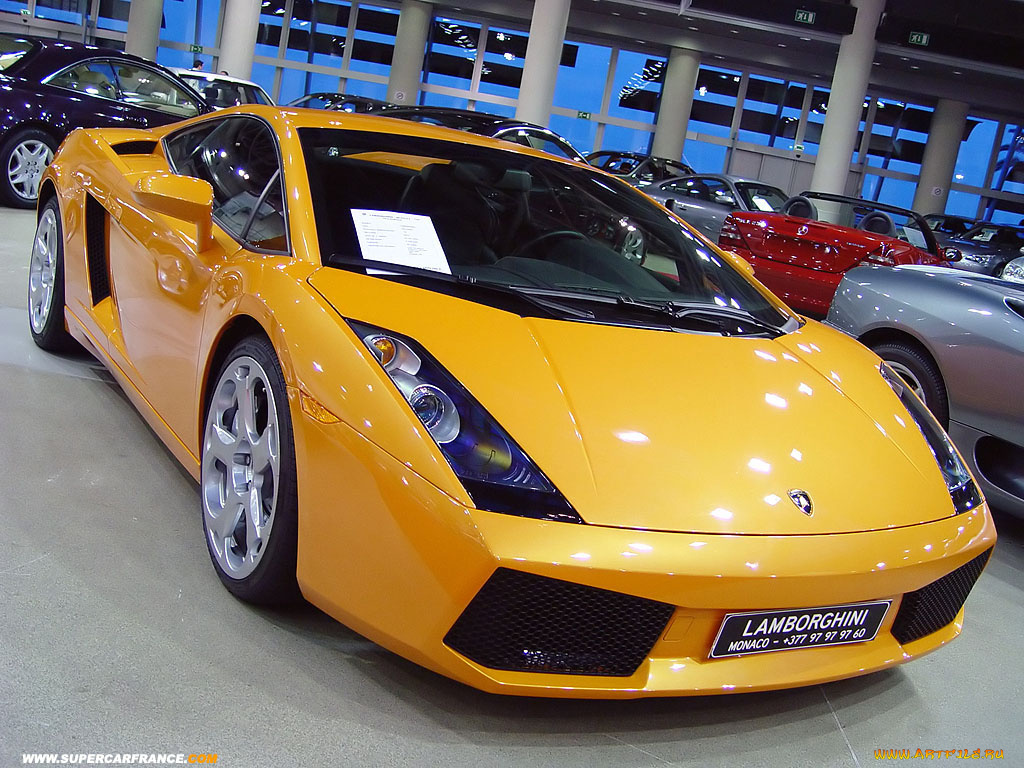 lamborghini, автомобили, выставки, уличные, фото