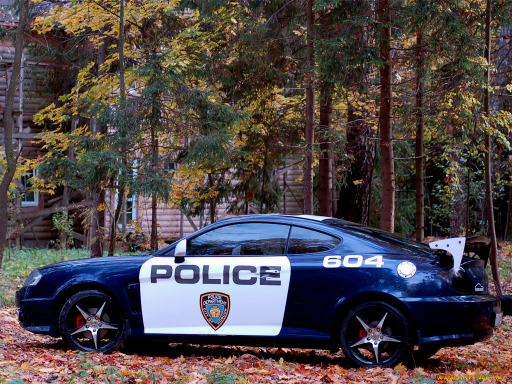 by, northwolf, автомобили, hyundai