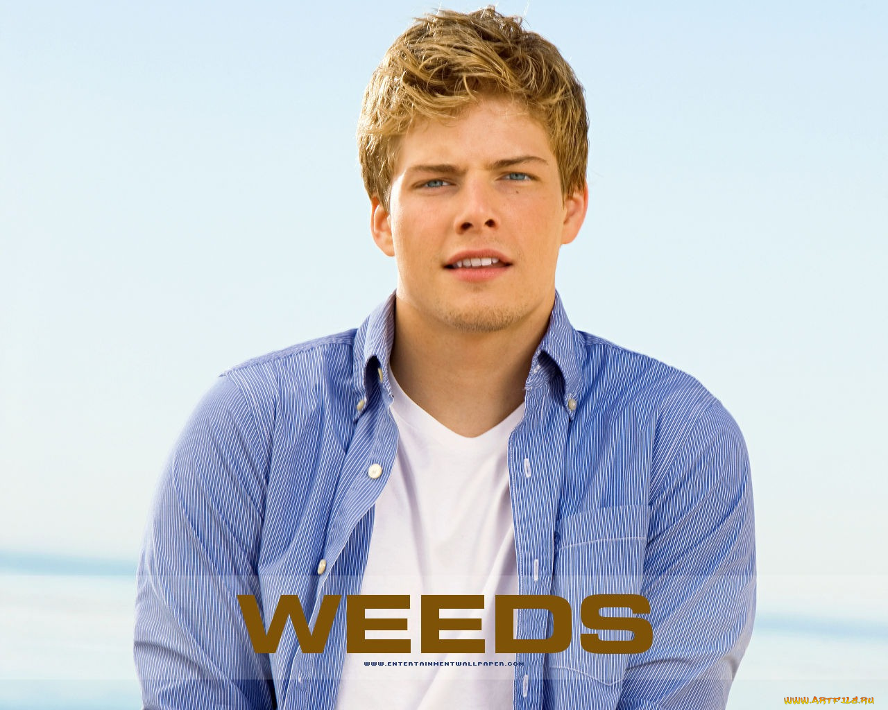 кино, фильмы, weeds