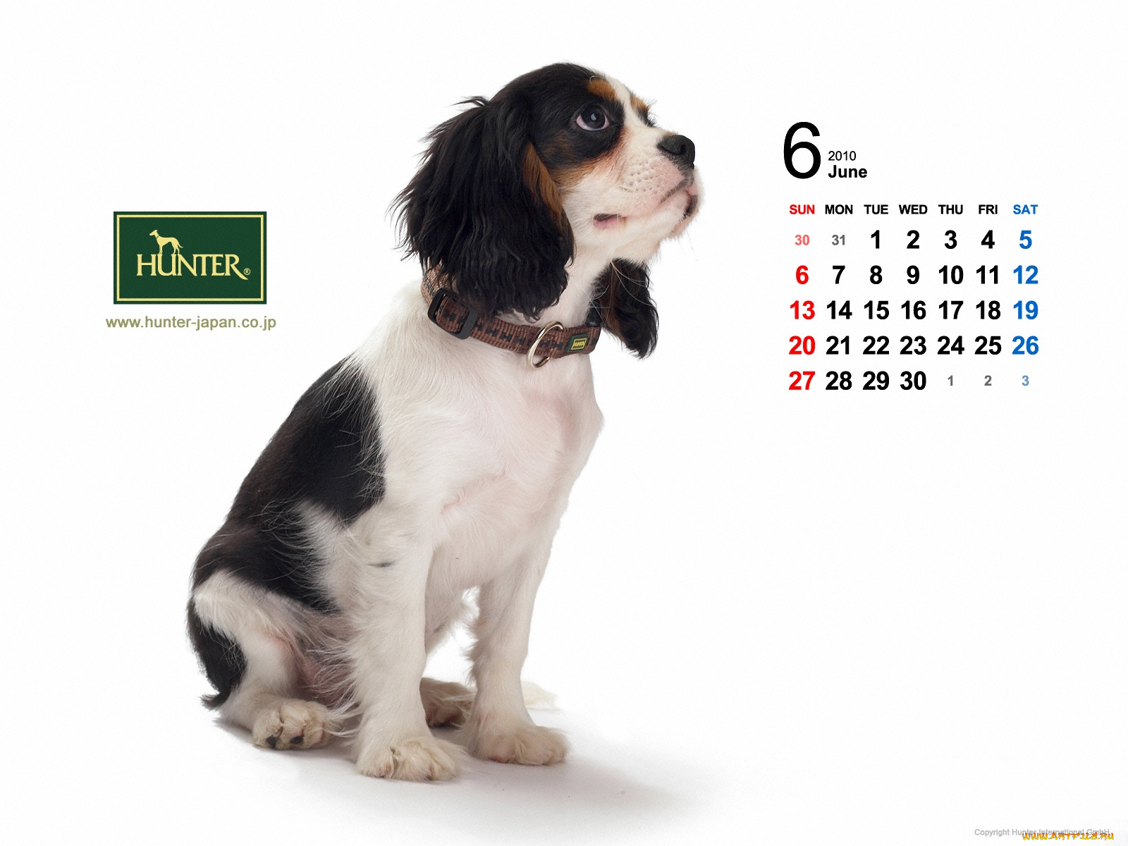 бренды, hunter