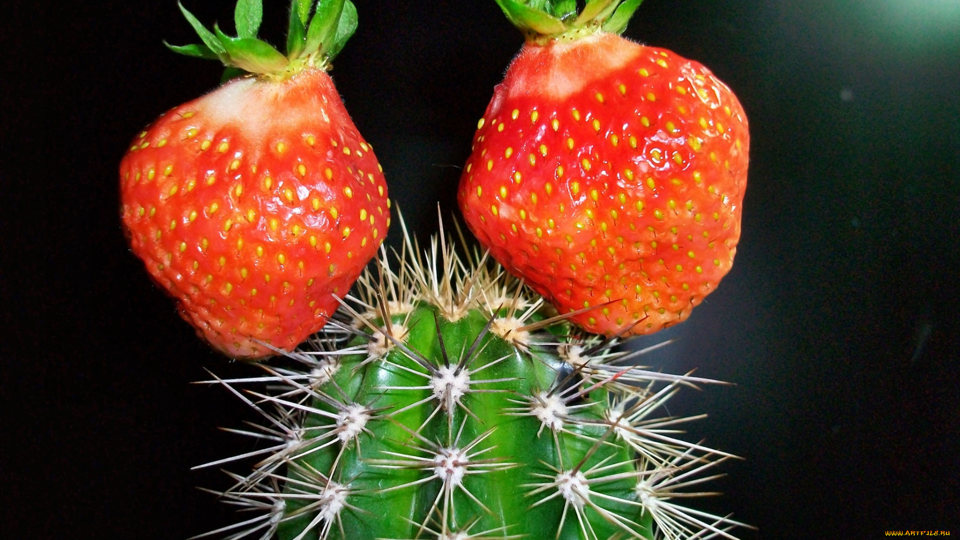 еда, клубника, земляника